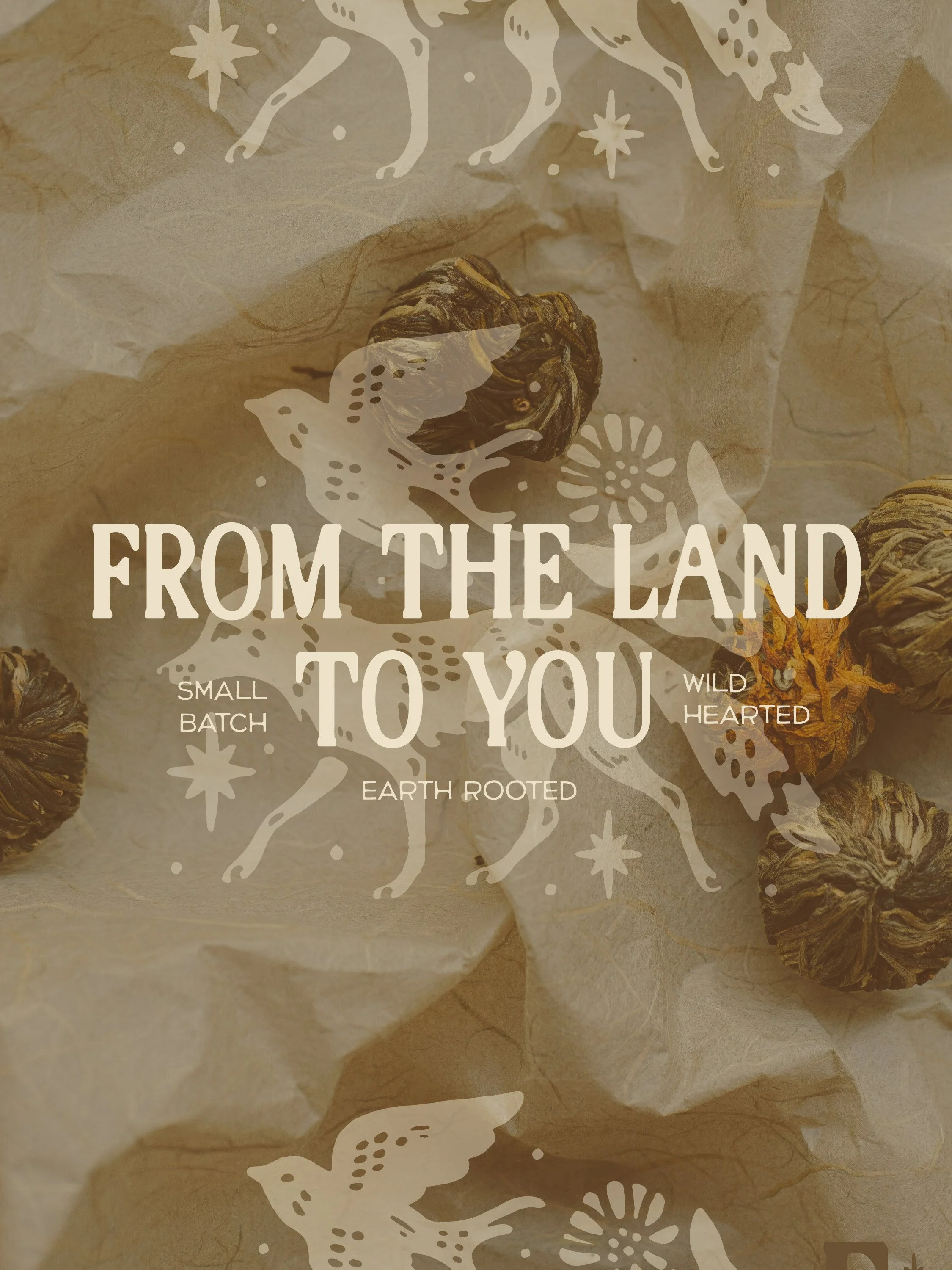 FF Social Visuals-25.jpg