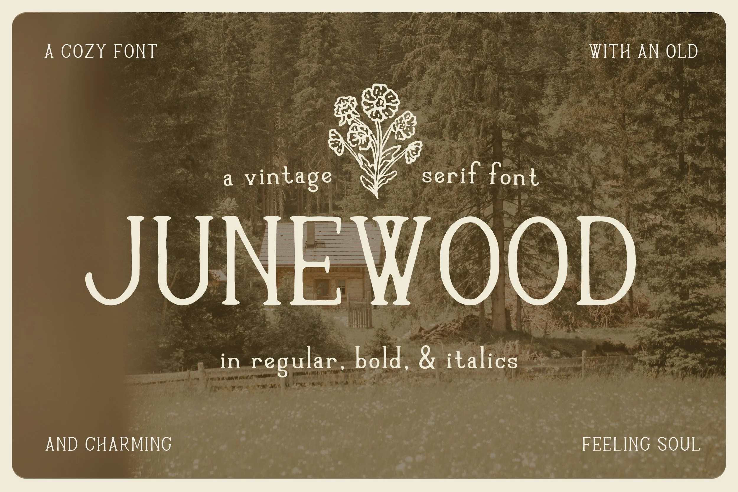 Junewood Social Graphics_Evermere CM Graphic-01.jpg