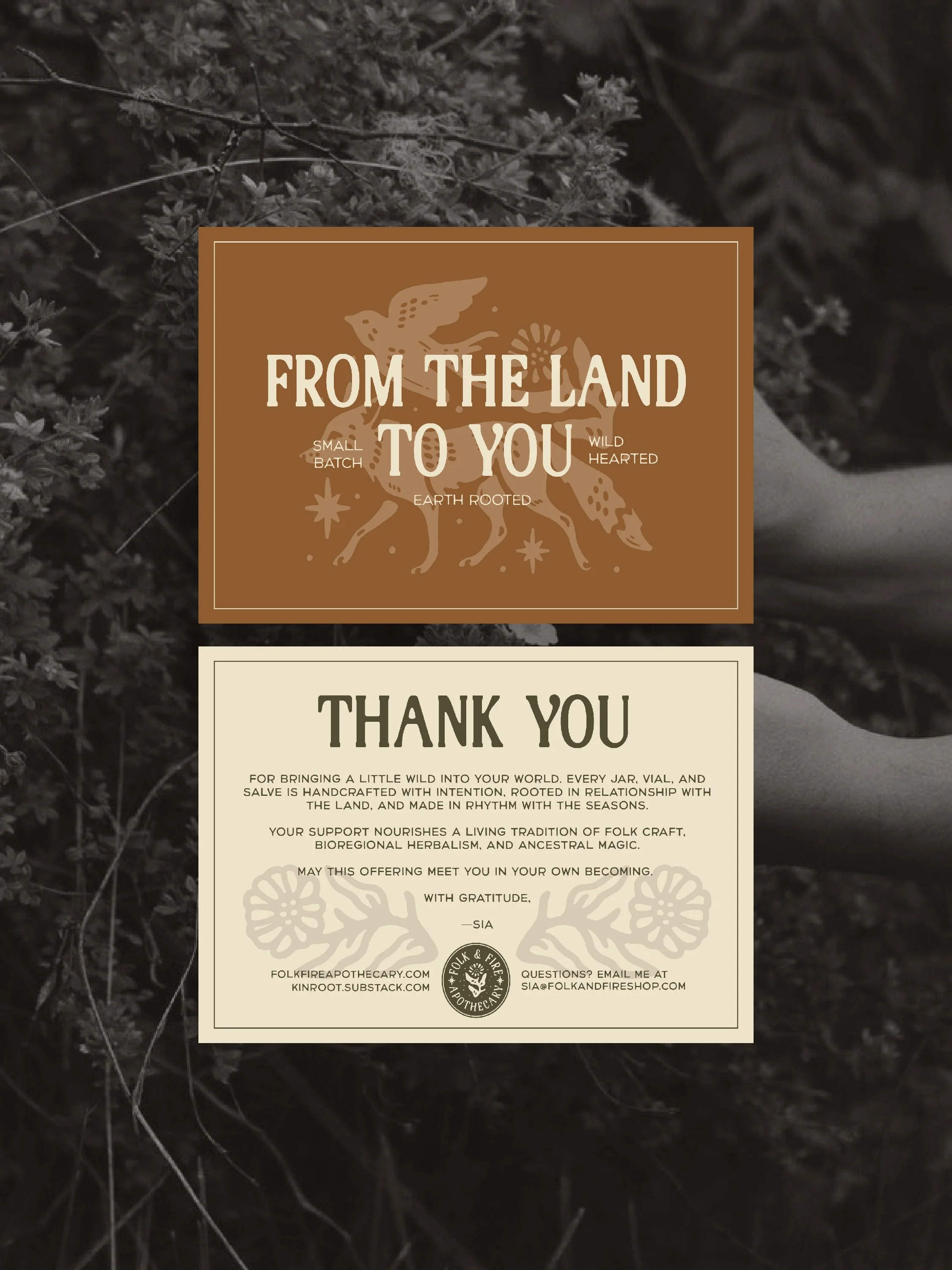 FF Social Visuals-08.jpg