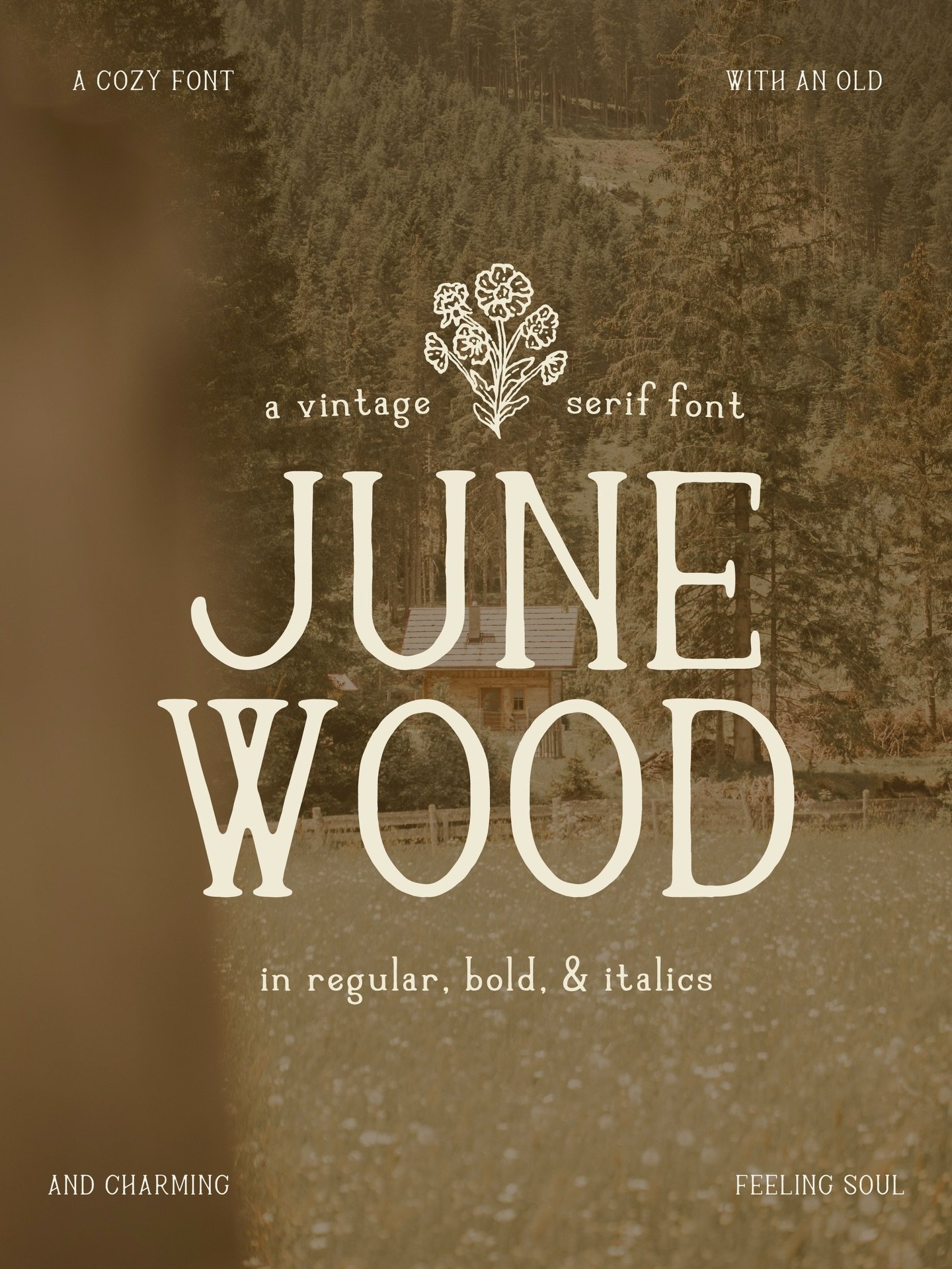 I&rsquo;ve been working on something over here [and keep it a secret until now] 🤎

Introducing Junewood &mdash; a cozy, handdrawn serif that brings a sense of lived-in charm to vintage designs. 🎞️🪵

Includes: uppercase &amp; lowercase letterforms,