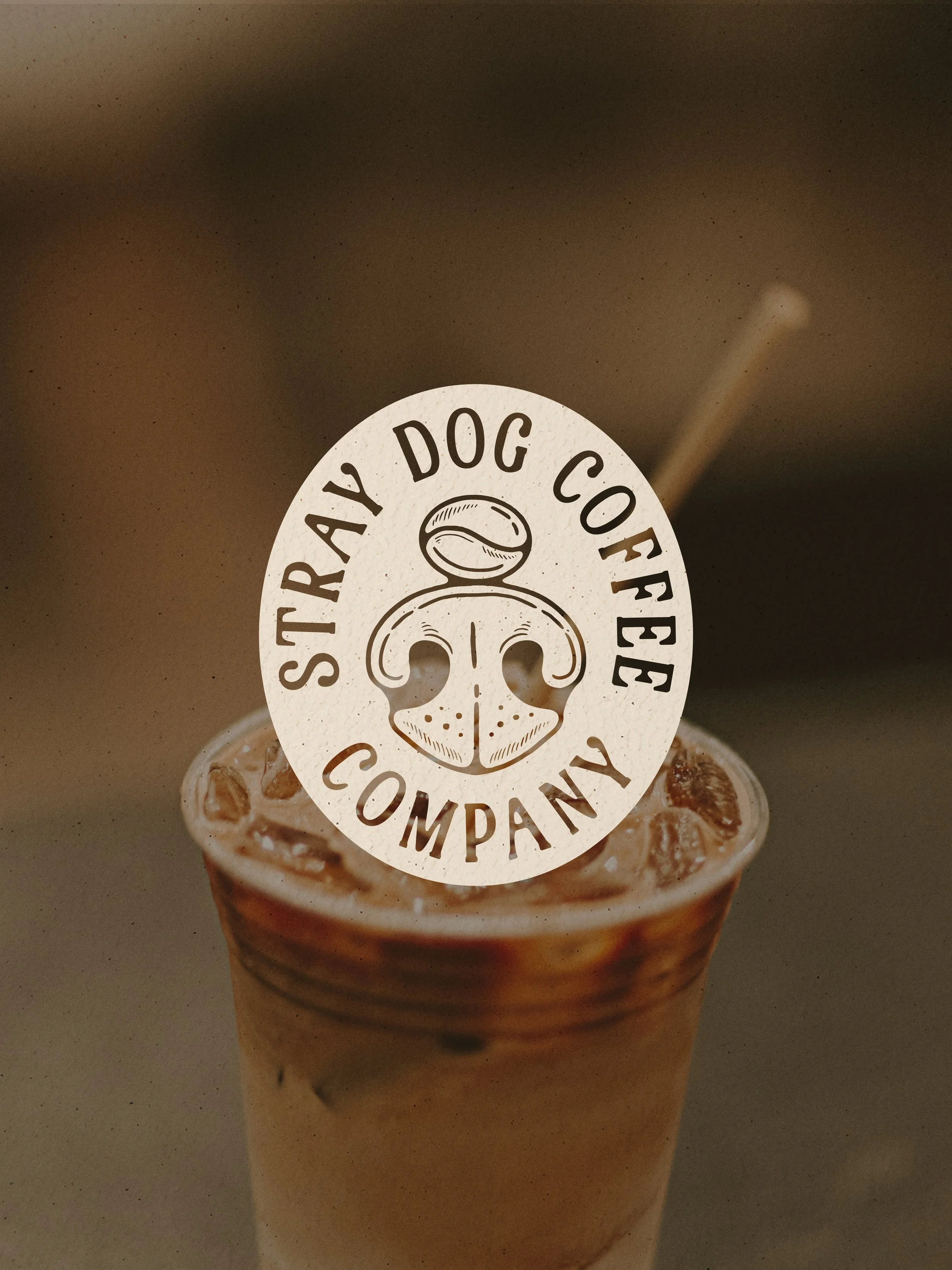 SDC Social Visuals_TDS Social Visual-02.jpg