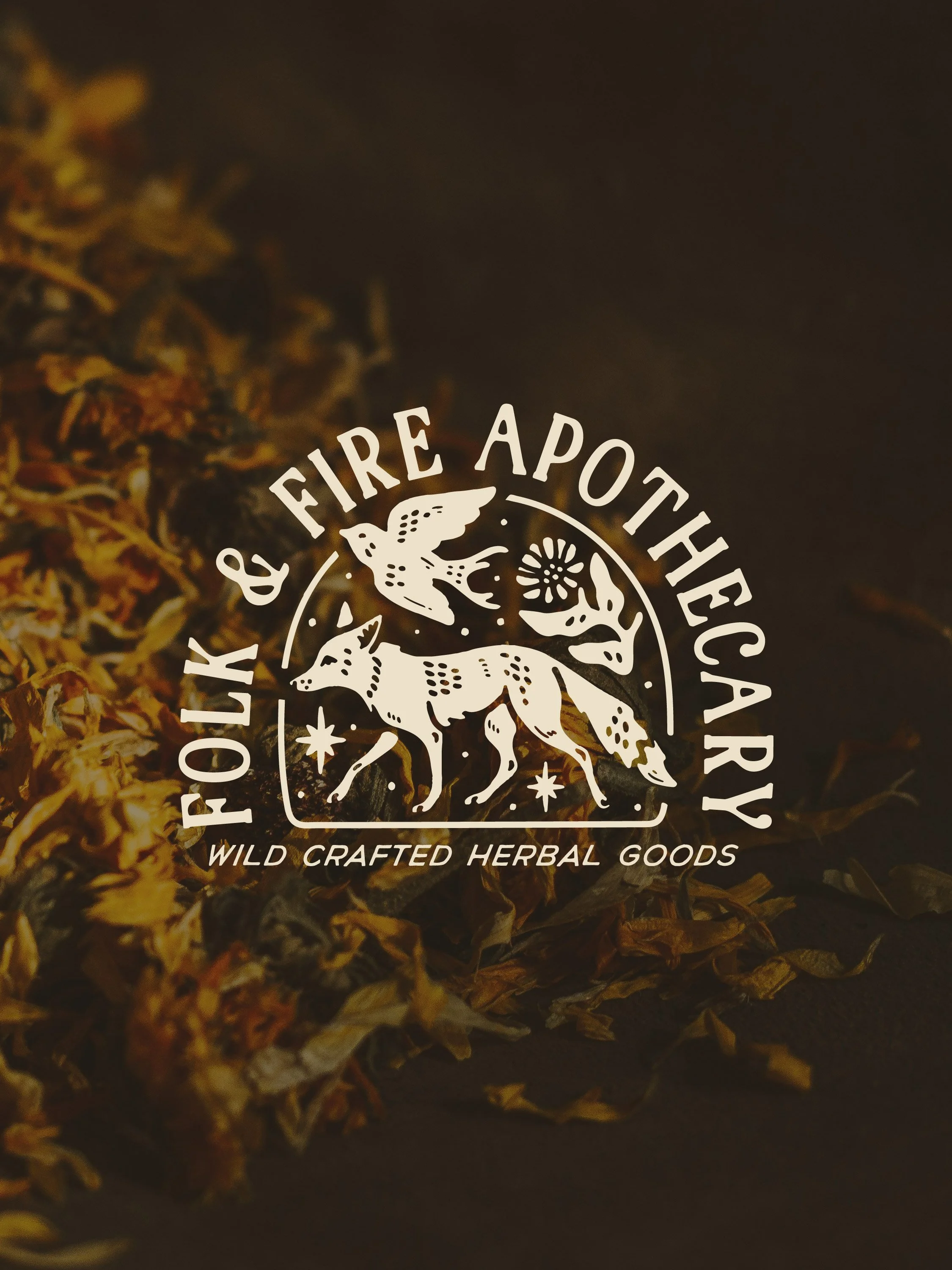 FF Social Visuals-01.jpg