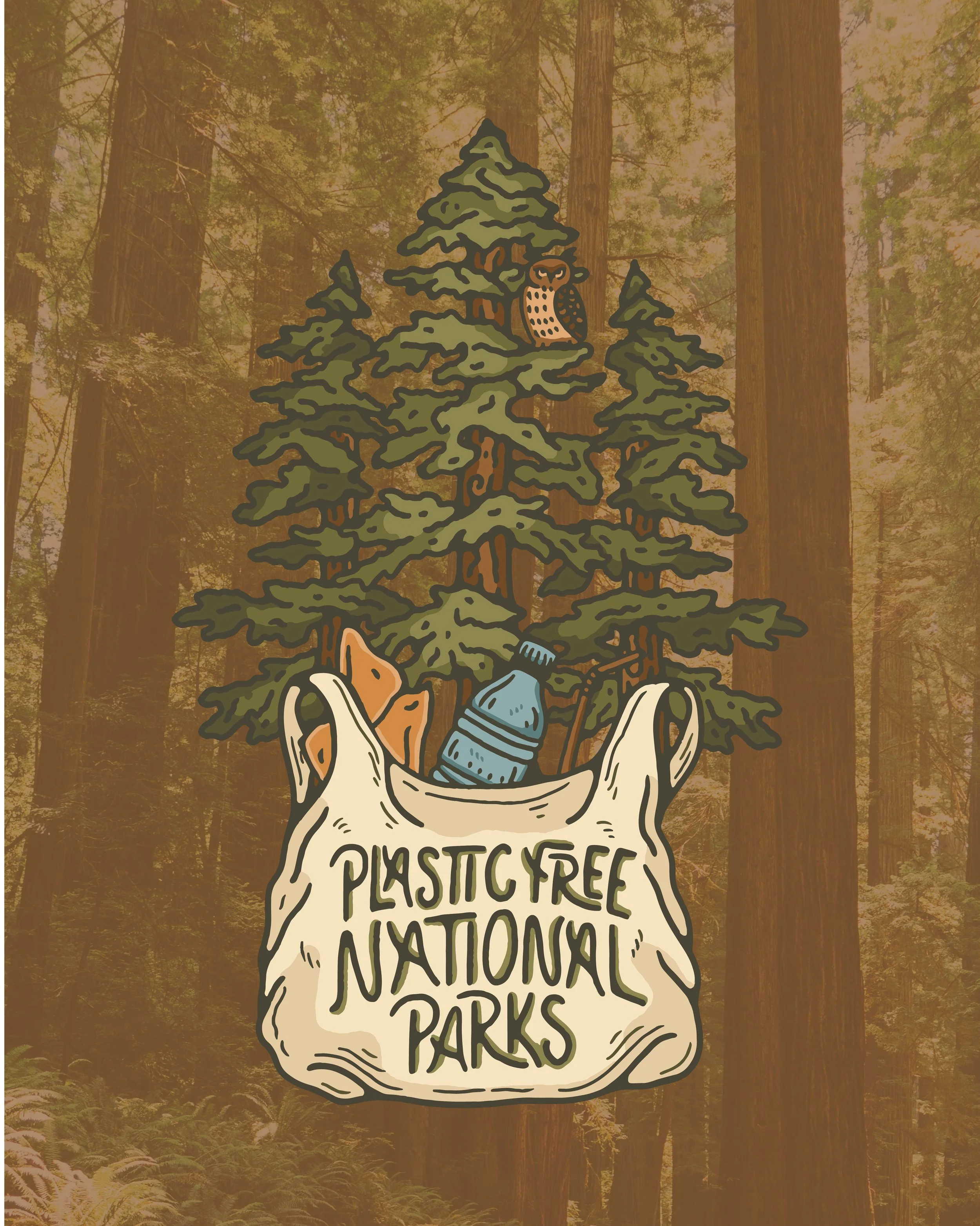 PFP Redwoods_2.jpg