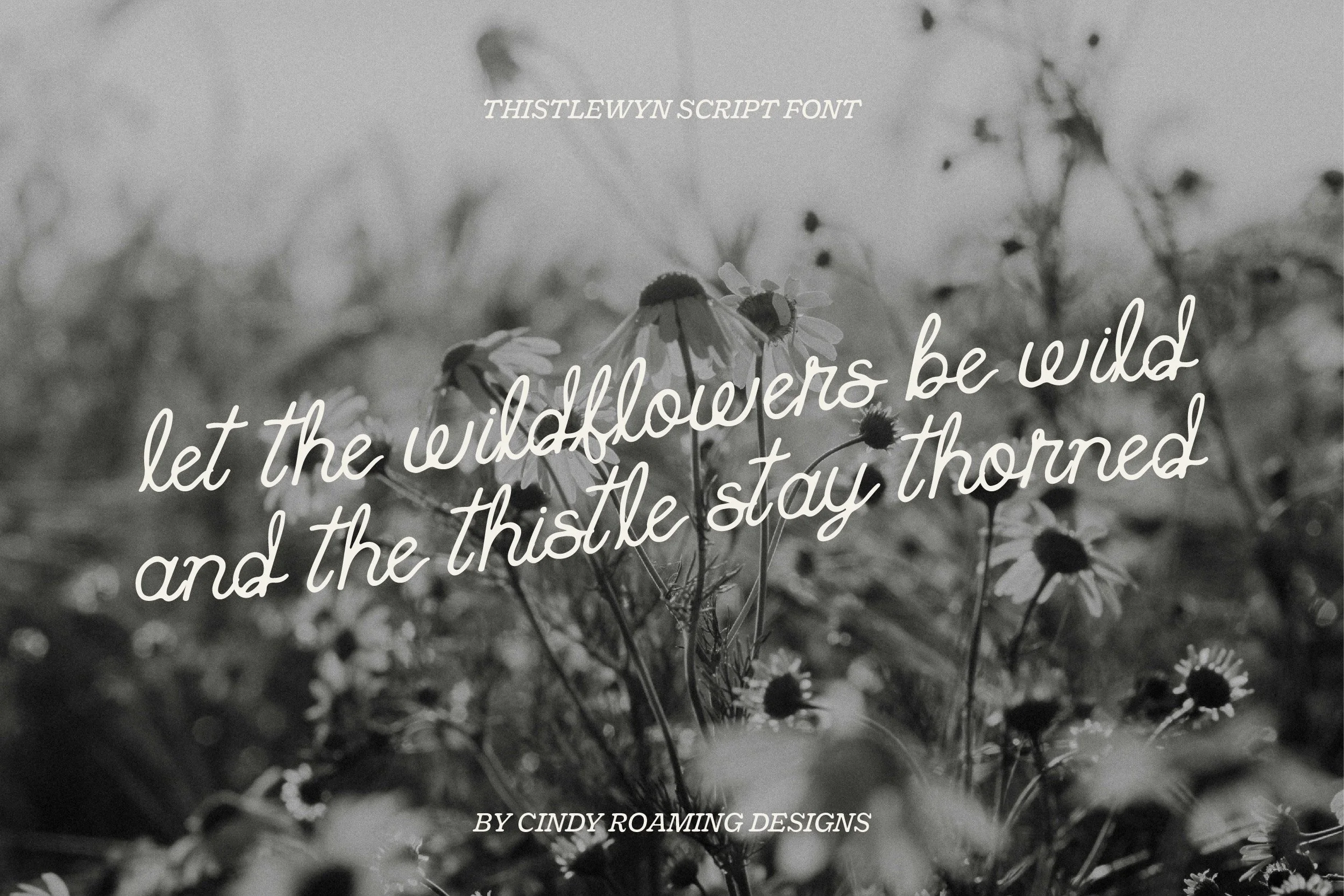 Thistlewyn Graphics-03.jpg