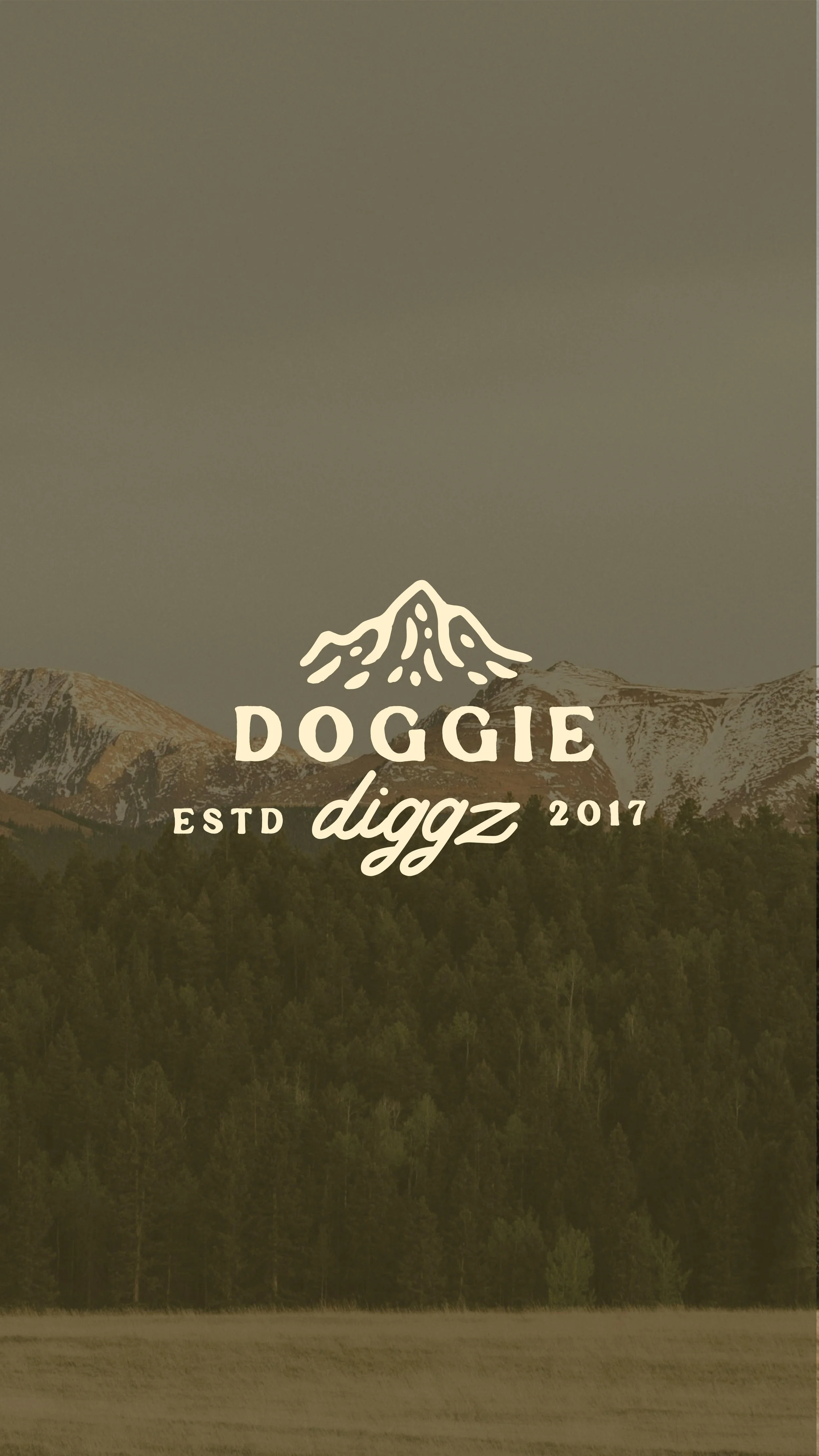 Doggie Diggz Reel-01.jpg