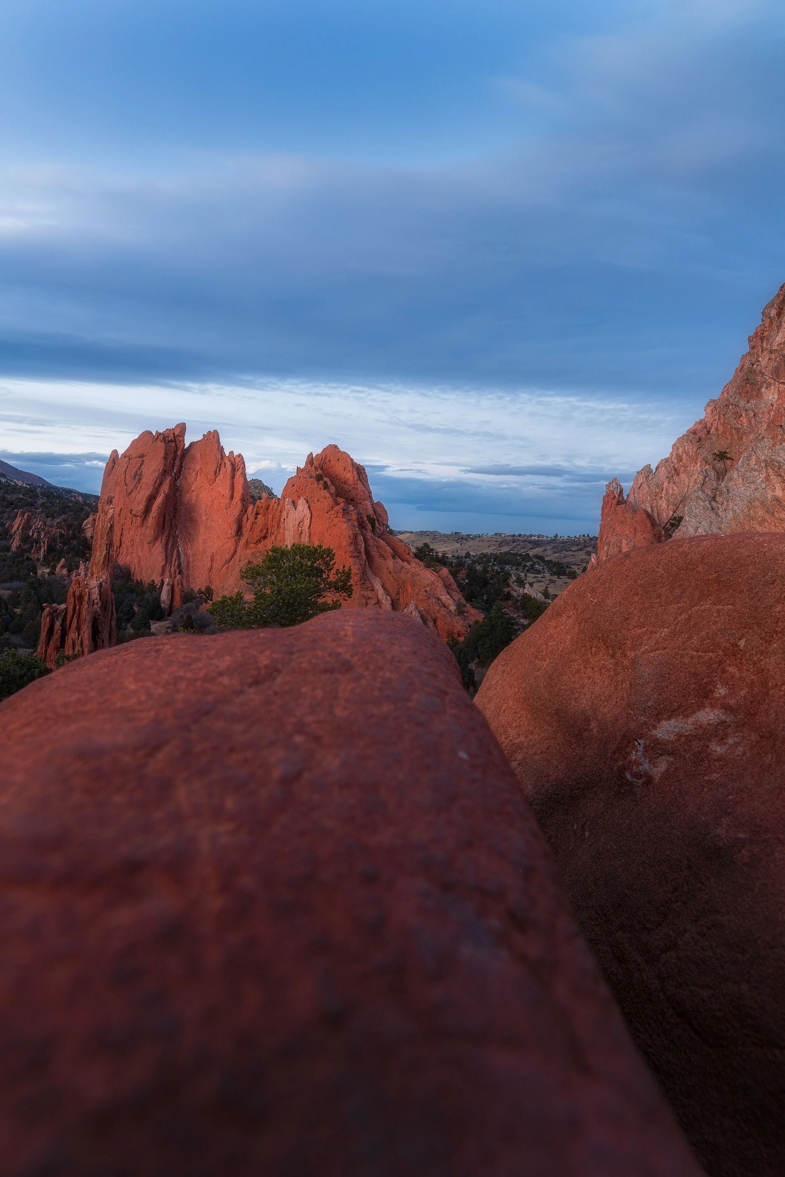 garden of the gods final feb12 2026 WEBSITE.jpg