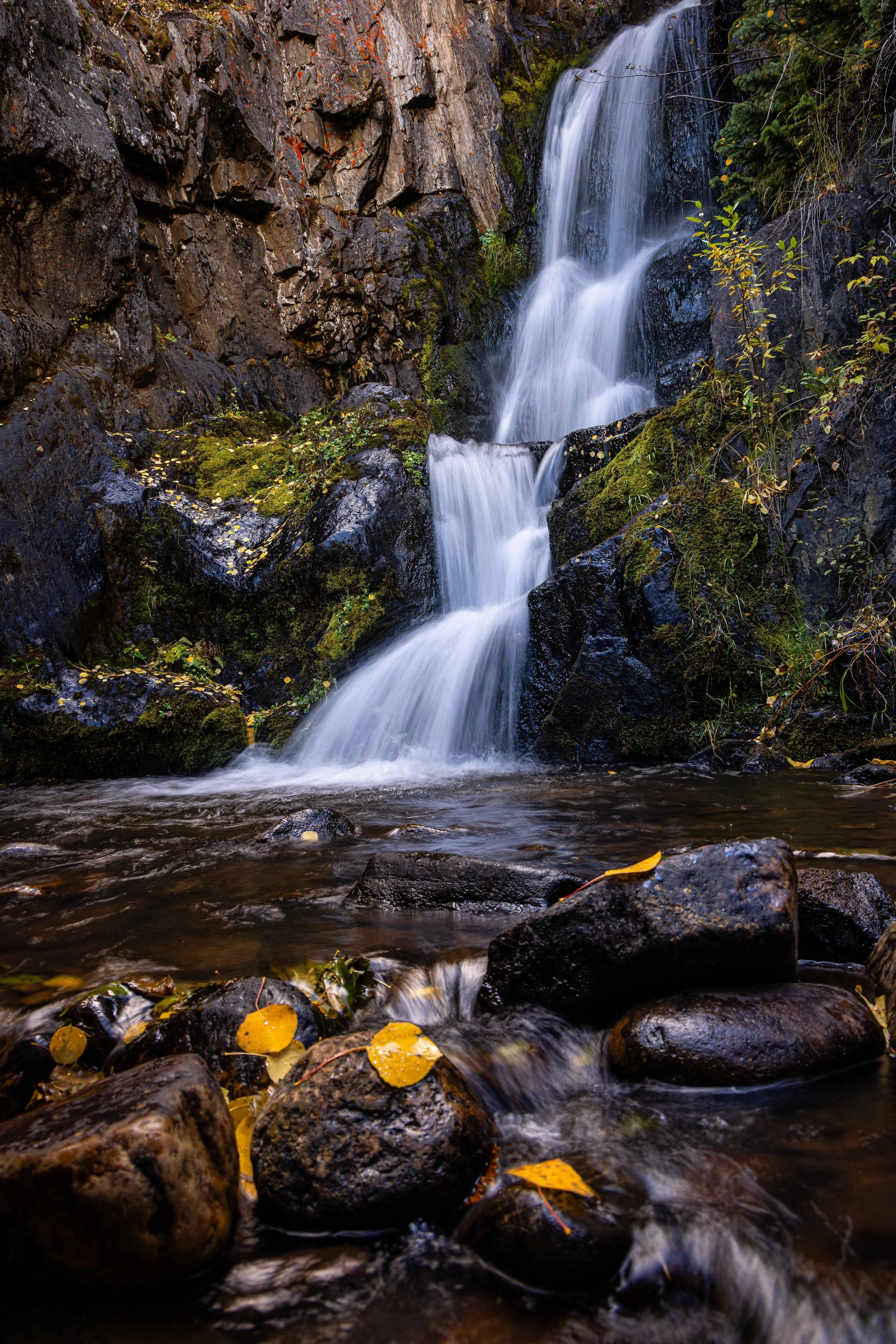 A small mountain waterfall cascading over moss-covered rocks with fallen yellow leaves in the foreground.