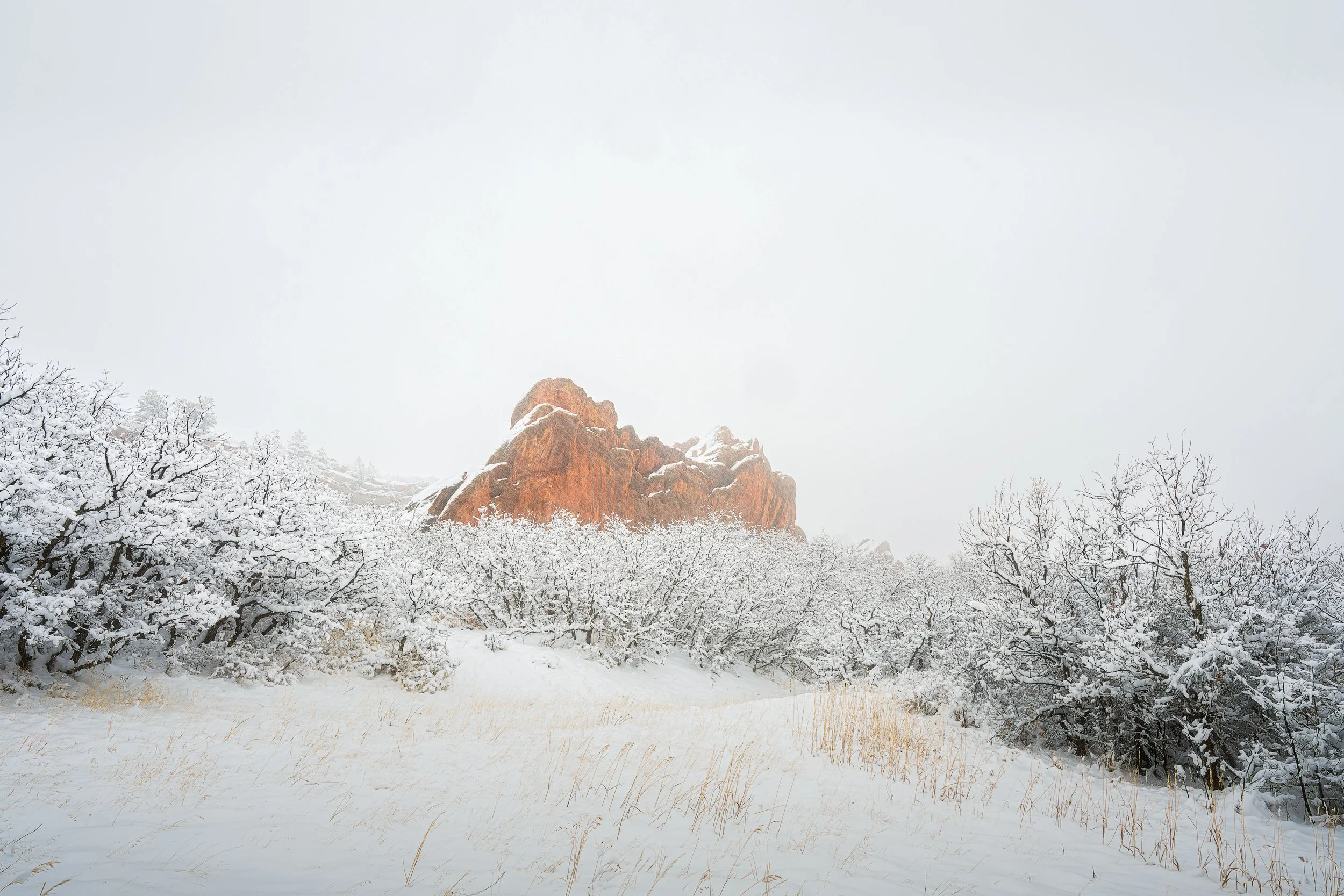 Roxborough snow storm FINAL website.jpg