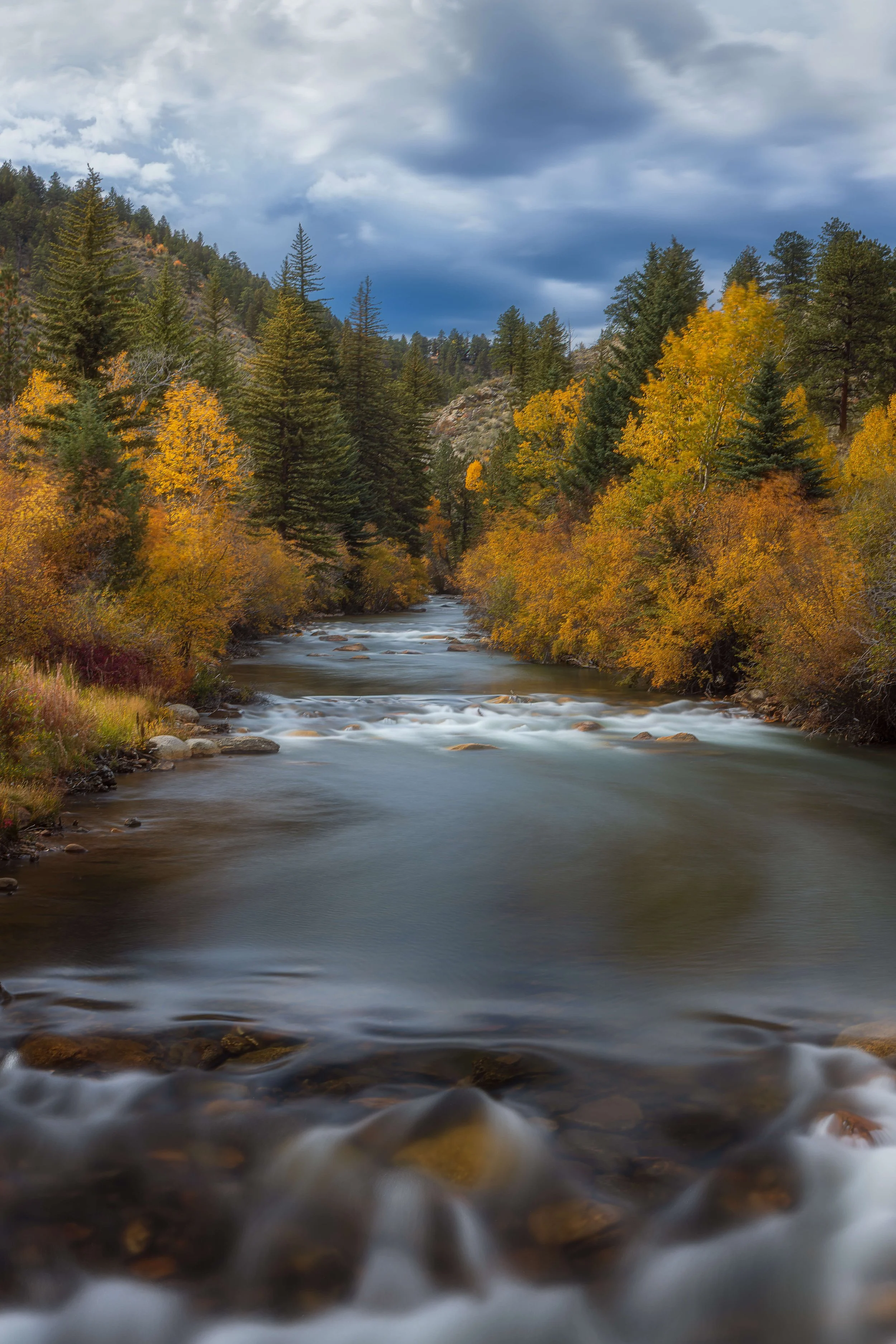 A river flowing through a forest with autumn-colored leaves and a cloudy sky.