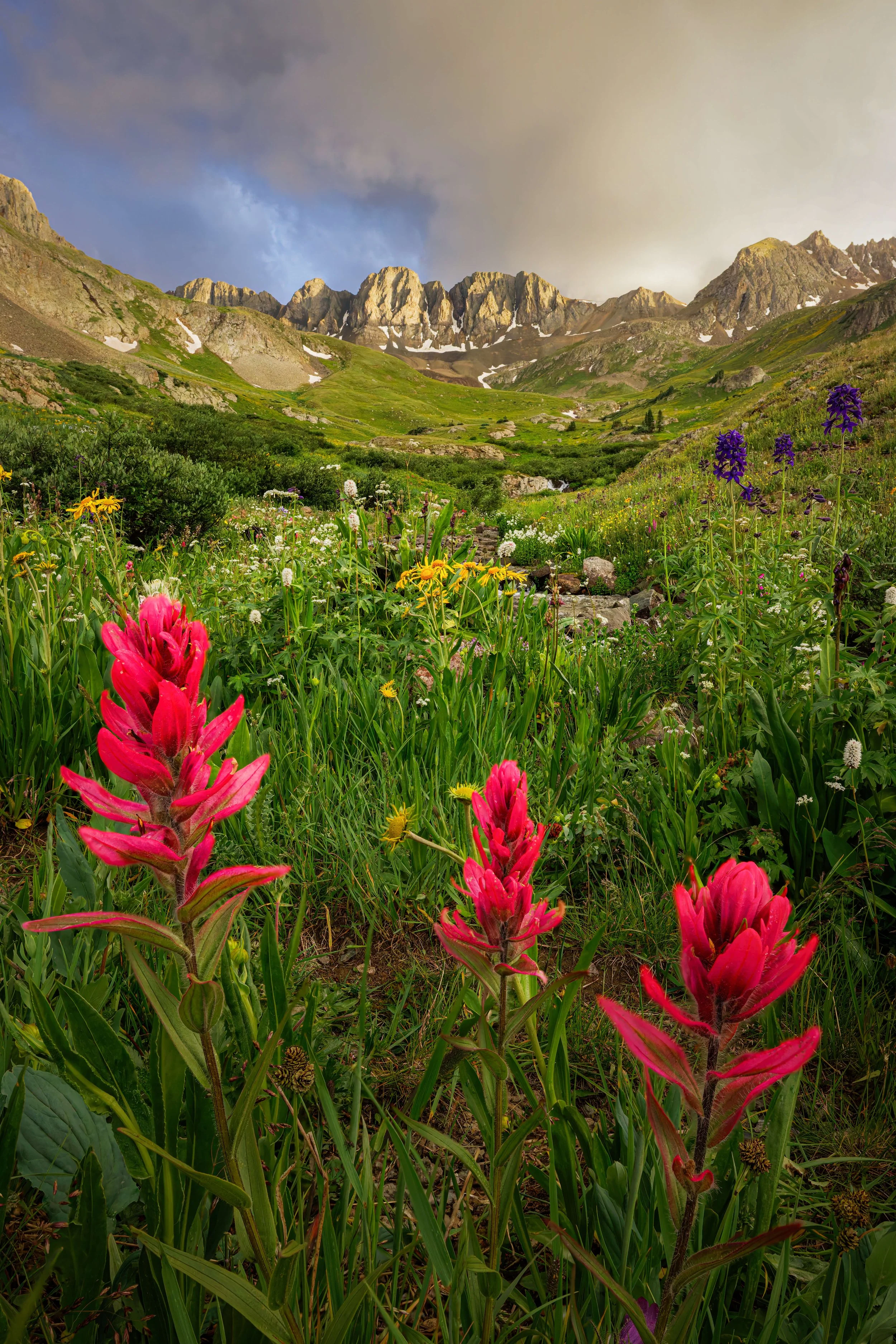Colorful wildflowers blooming in a mountainous valley with rocky peaks and a cloudy sky in the background.