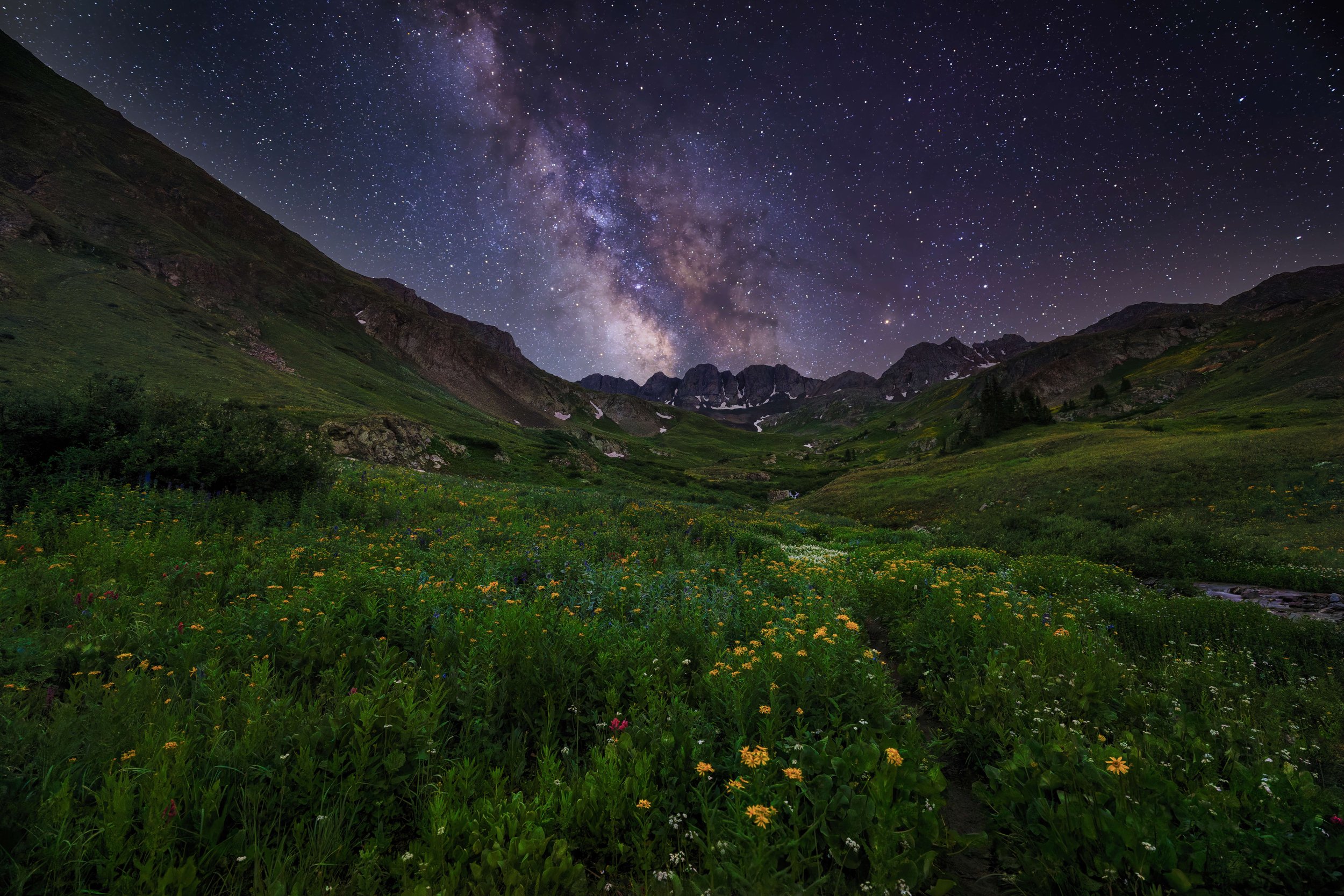 Nighttime landscape of a green valley with wildflowers, surrounded by mountains under a star-filled sky with the Milky Way galaxy visible.