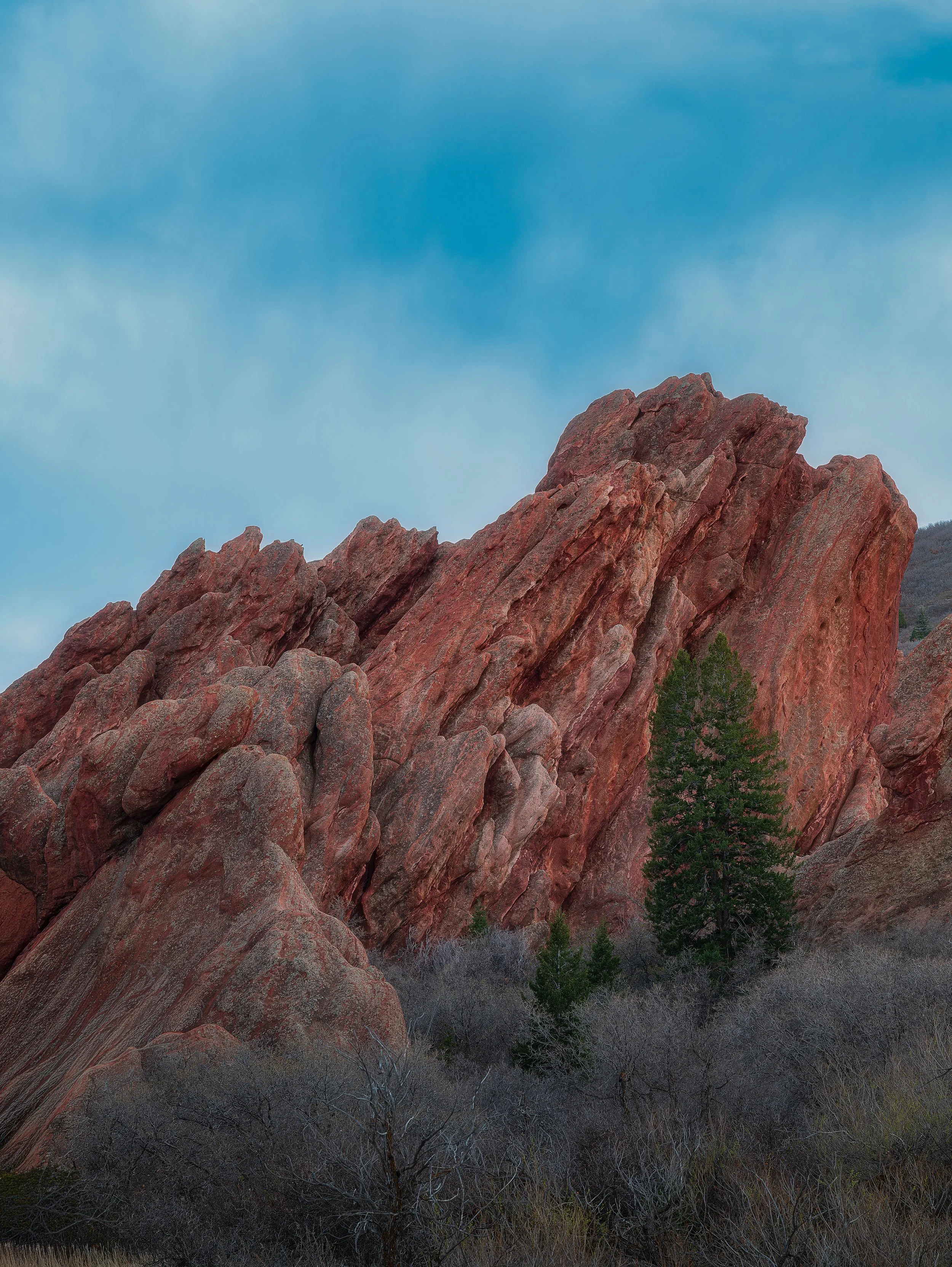 rox blue hour FINAL.jpg