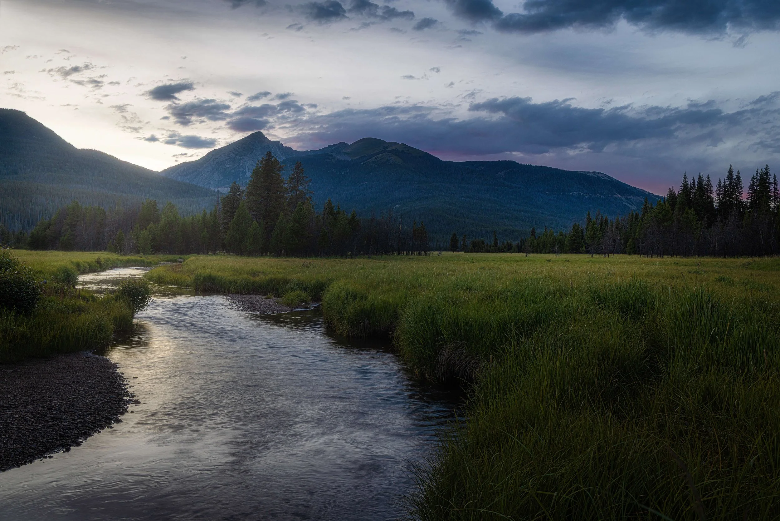 Scenic view of a flowing river through a grassy meadow with pine trees, mountains in the background, and a cloudy sky at dusk.