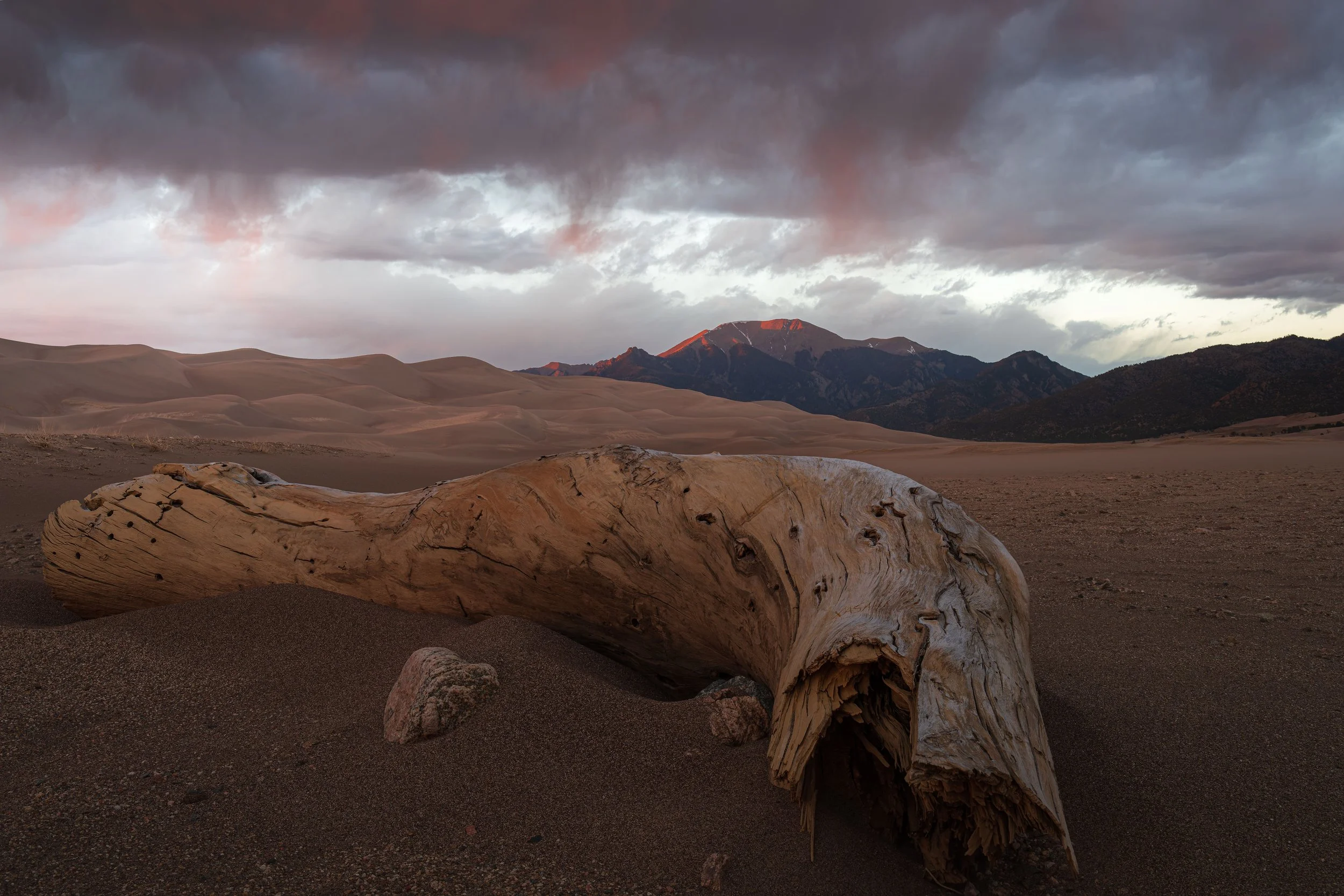 sand dunes march 2026 FINAL.jpg