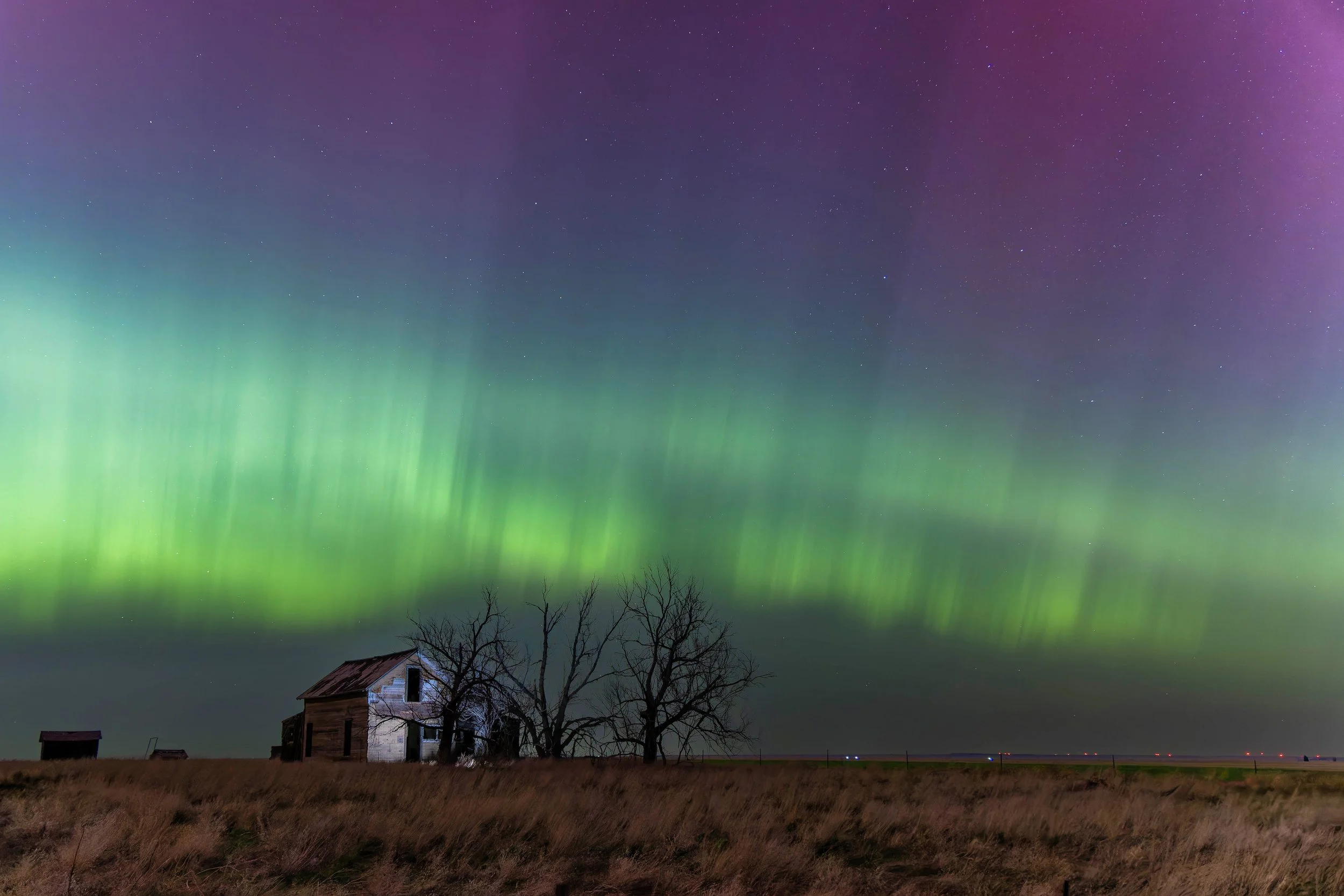 Northern lights illuminating the night sky above an abandoned house and leafless trees in a field.