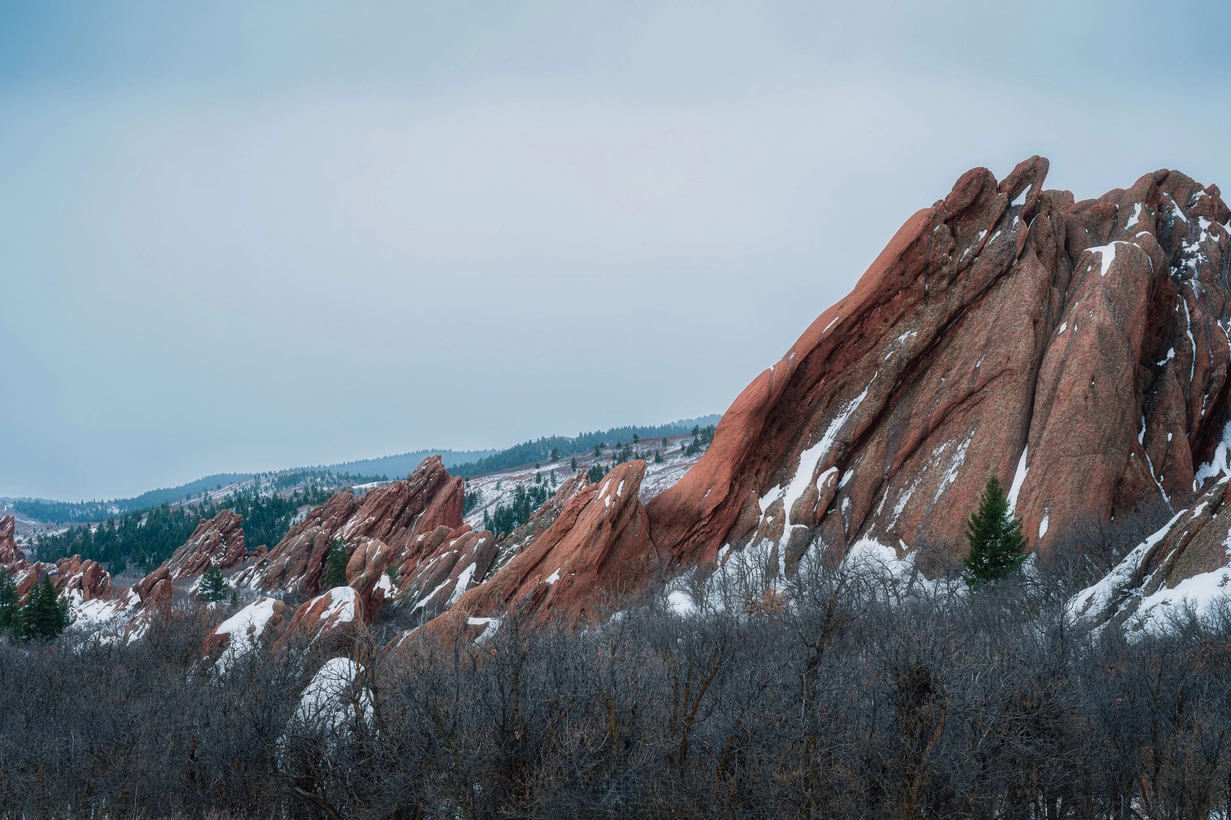 Snow-Kissed Roxborough
