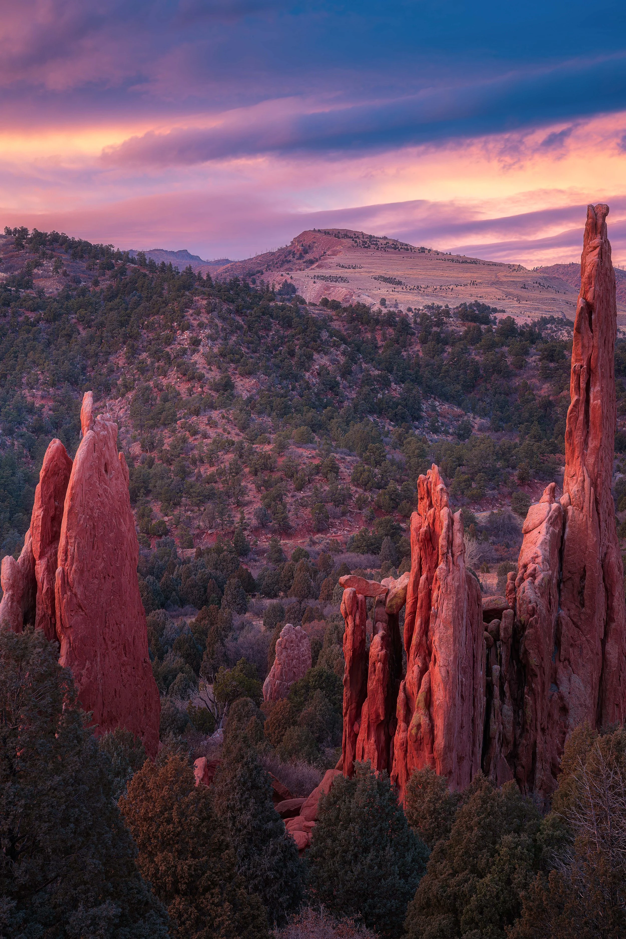 three catherdrals FINAL WEB.jpg