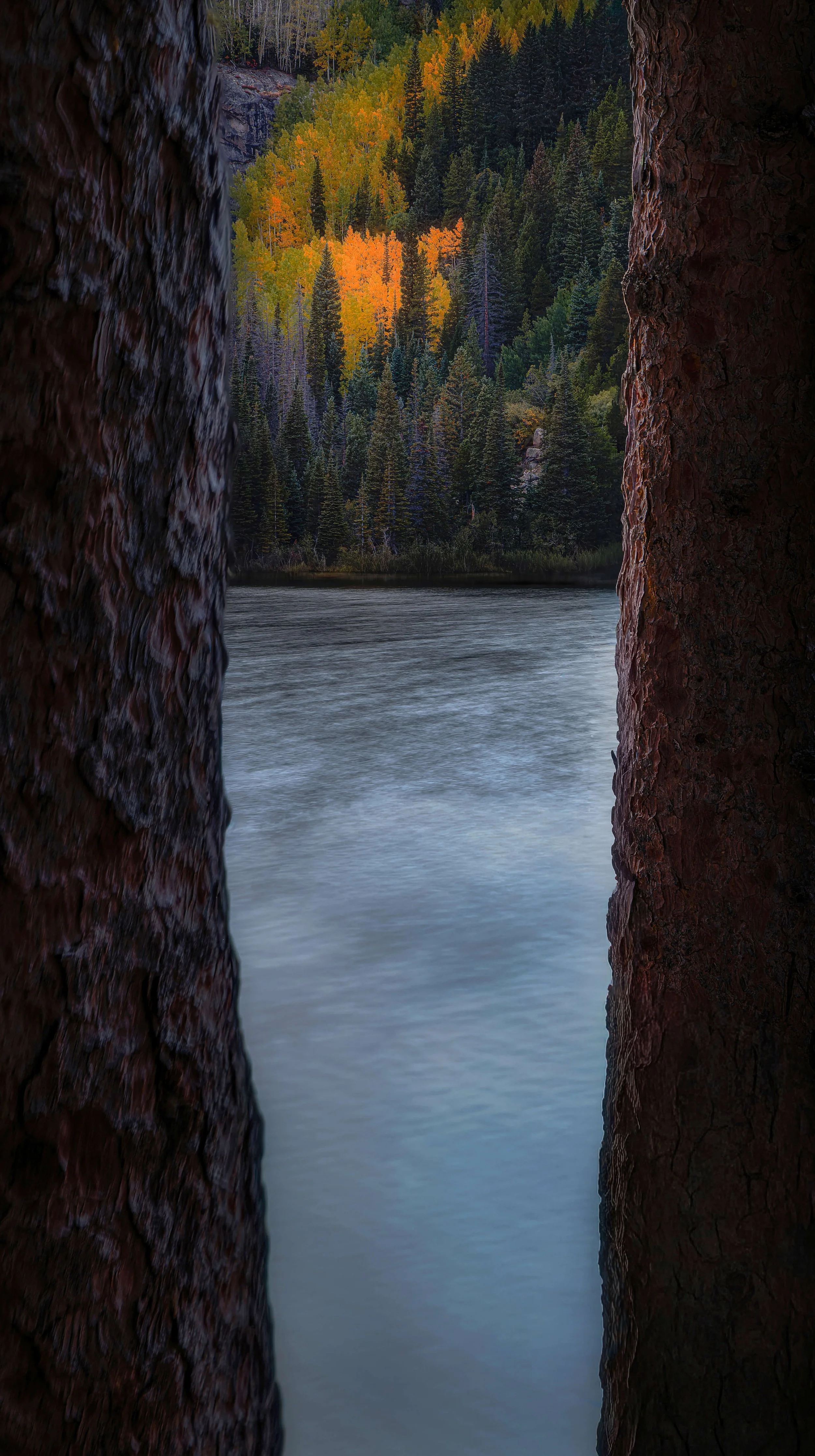 View of a forested hillside with colorful autumn trees seen through a narrow gap between two large rocks beside a river.