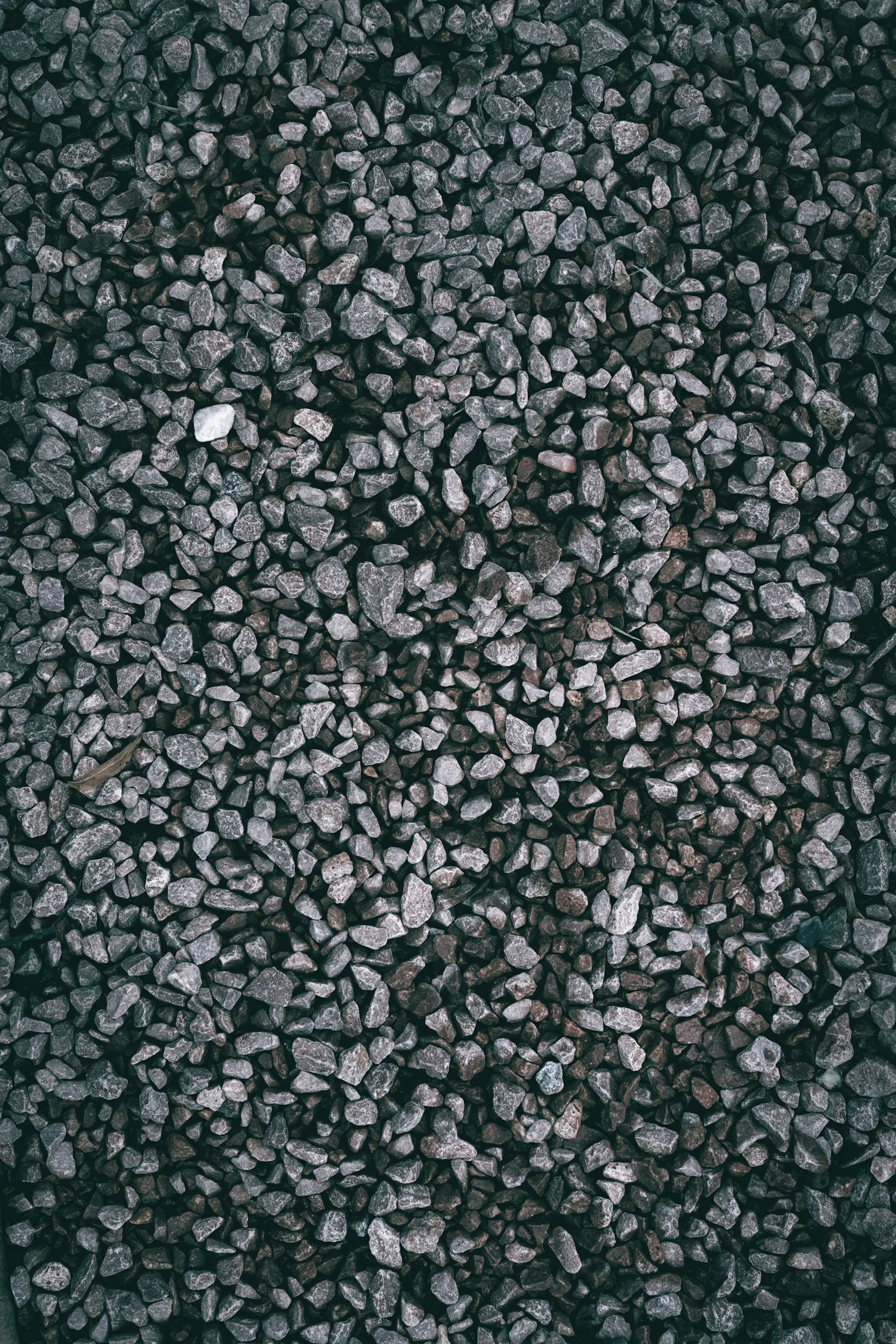 A close-up view of black gravel stones covering the ground.