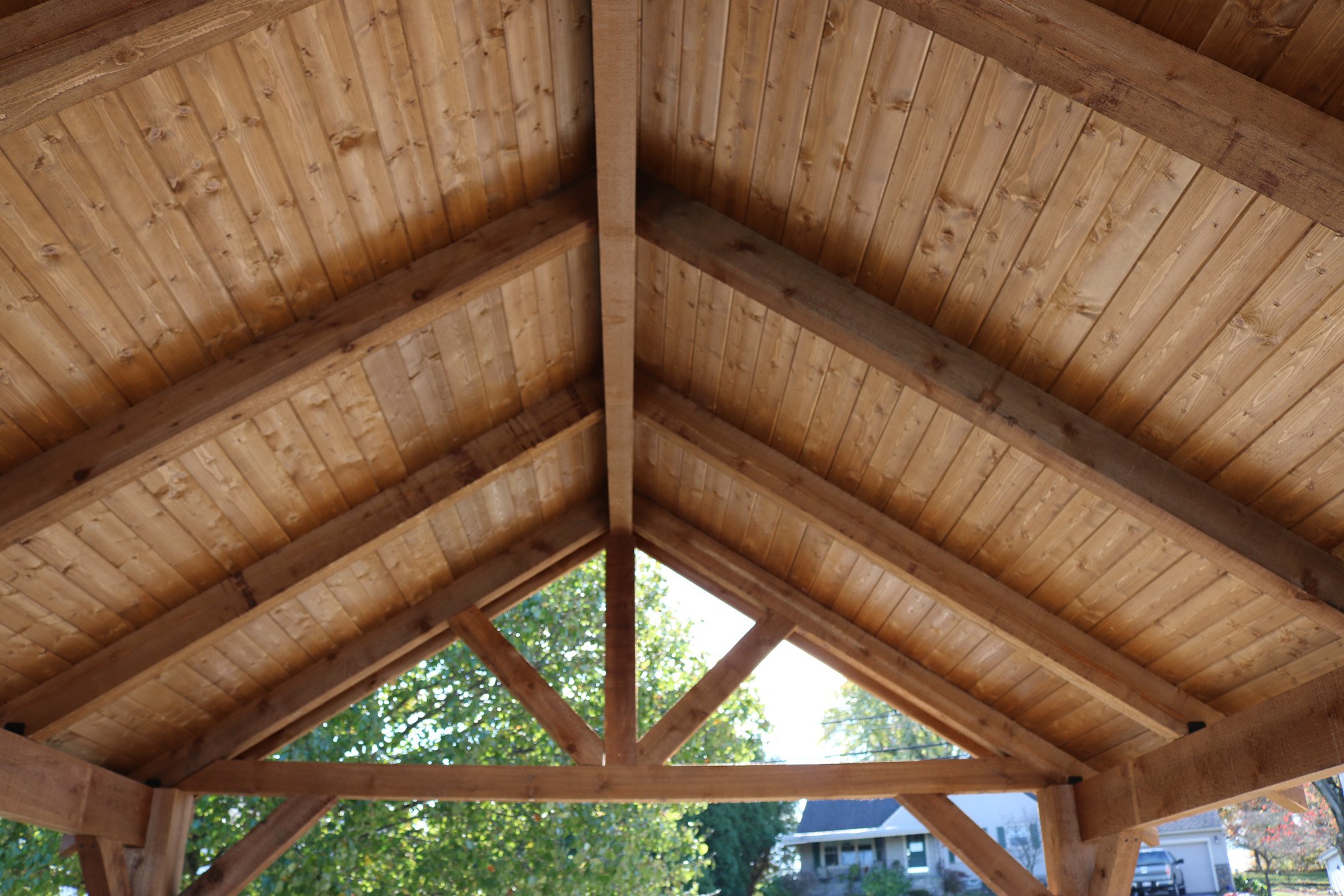 Mesa Timber rafters, T&G Sheathing.jpg