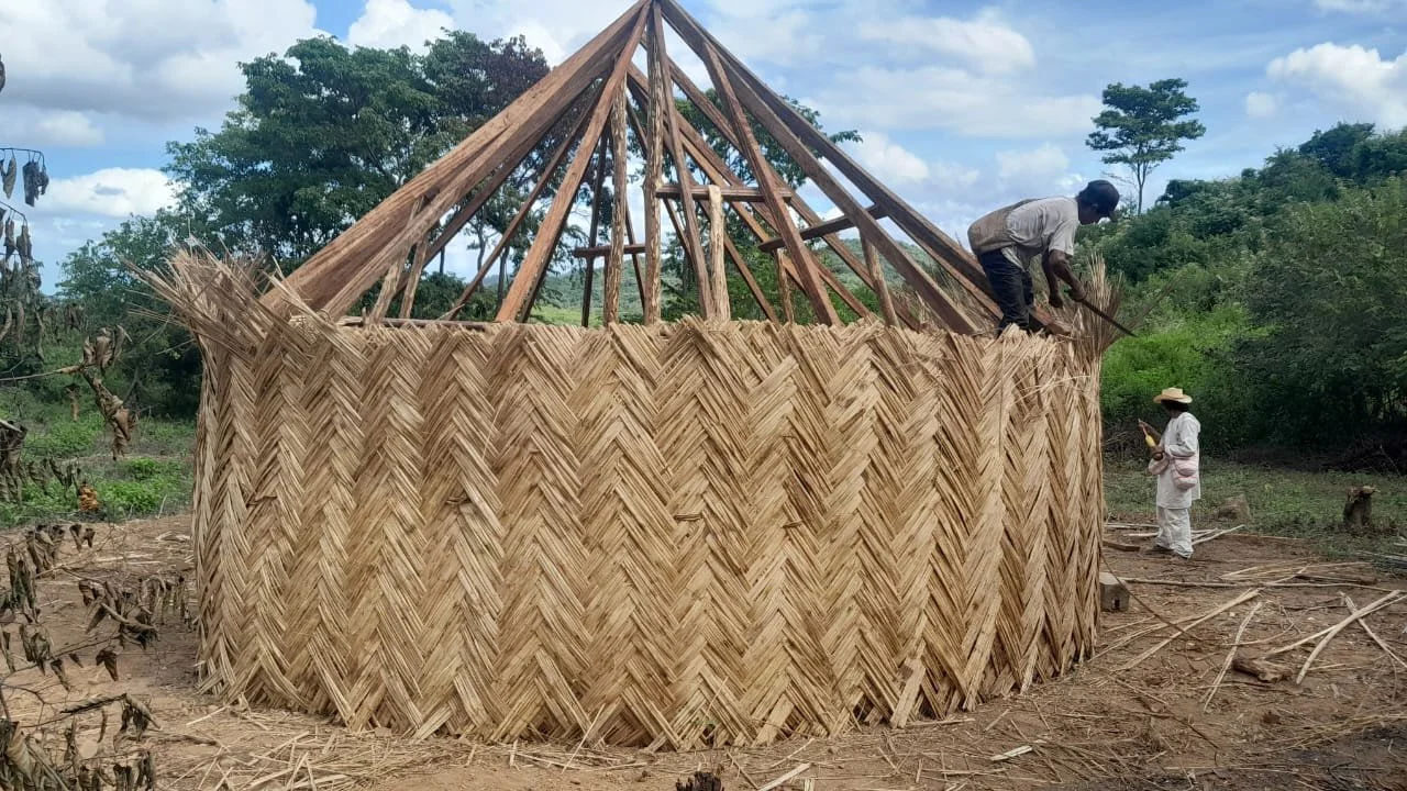 WhatsApp Image 2025-12-15 at 12.28.40.jpeg