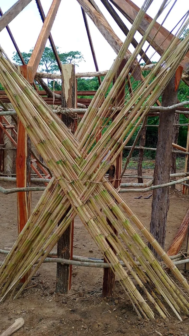 WhatsApp Image 2025-12-15 at 12.25.06.jpeg