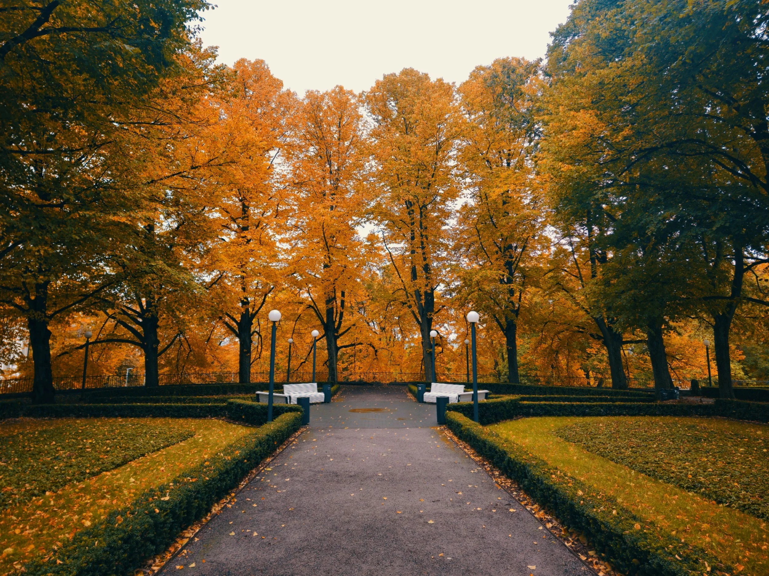 A park pathway lined with white benches and lampposts, surrounded by trees with orange and green autumn leaves.