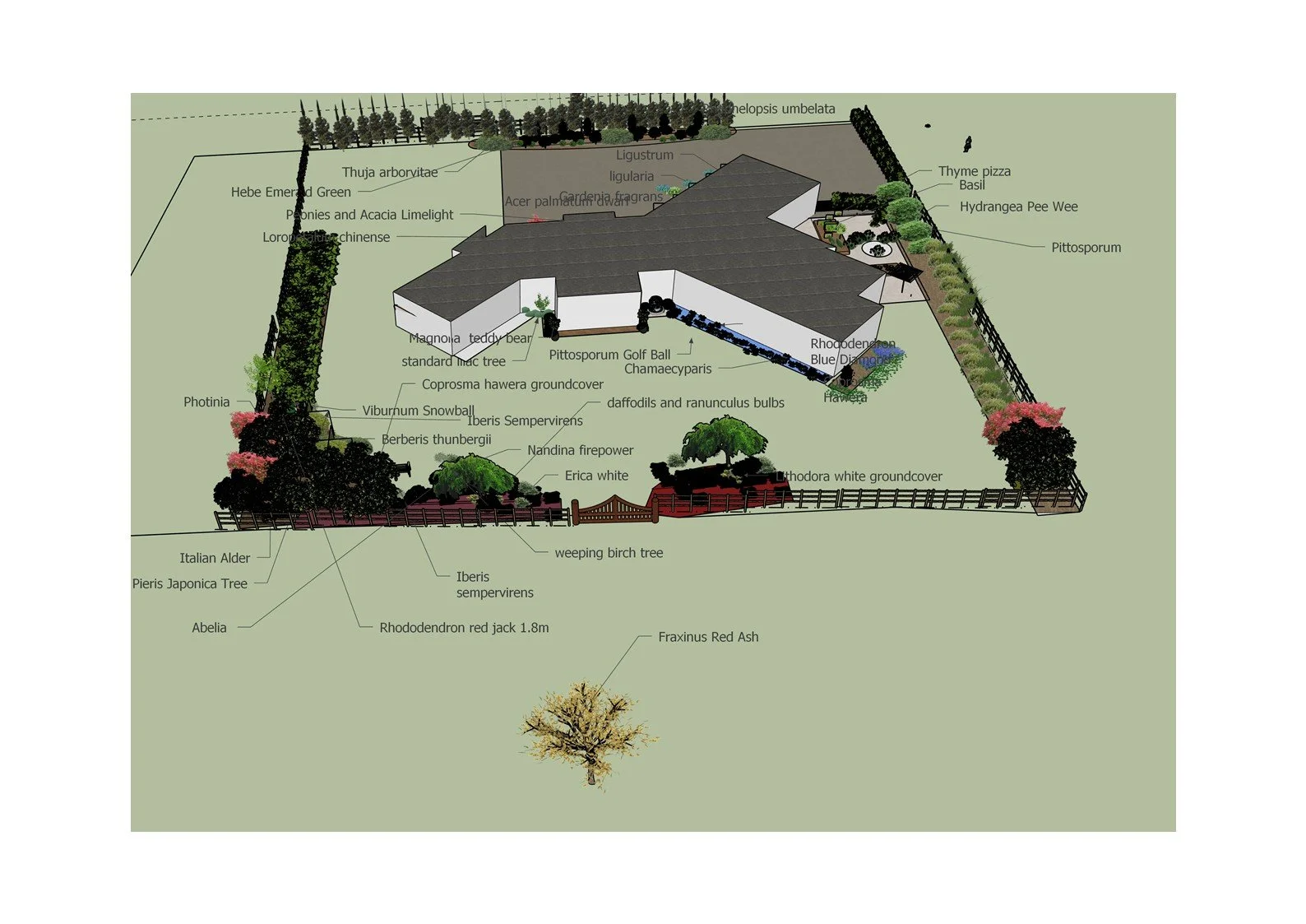 A detailed landscape design plan of a backyard garden with labeled trees, plants, and features, including a house, fencing, and various botanical species such as Japanese Pieris, Italian Alder, and Rhododendron.
