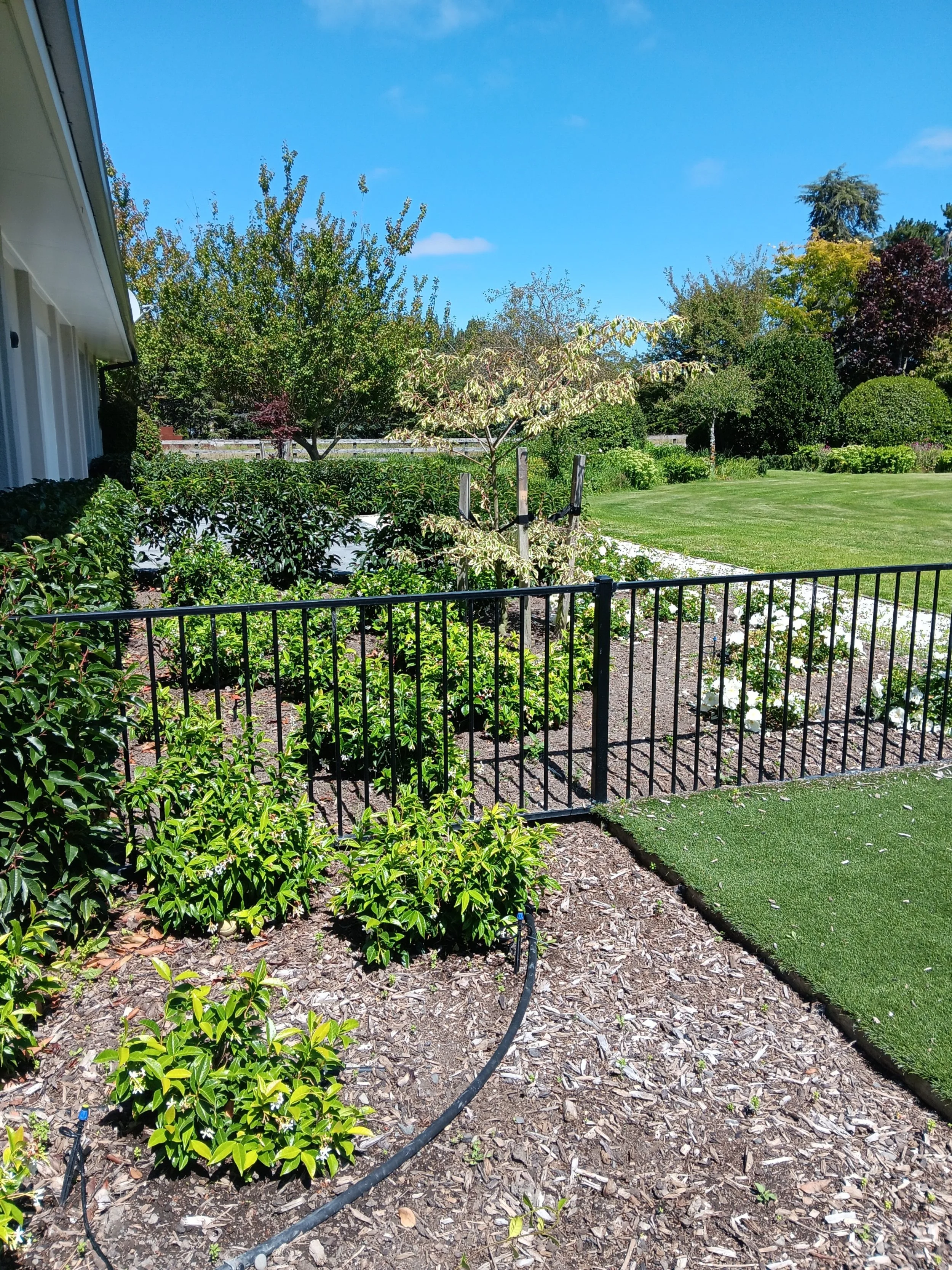 A landscaped backyard with a manicured lawn, blooming plants, young trees, and a black metal fence under a clear blue sky.