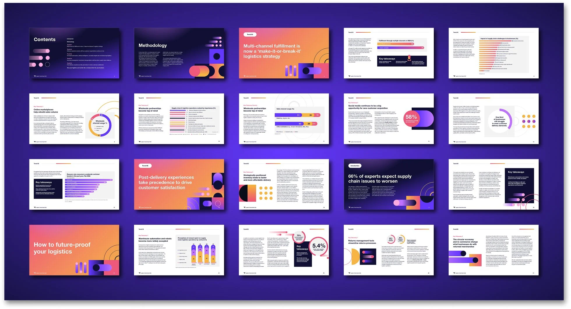 PDF report pages