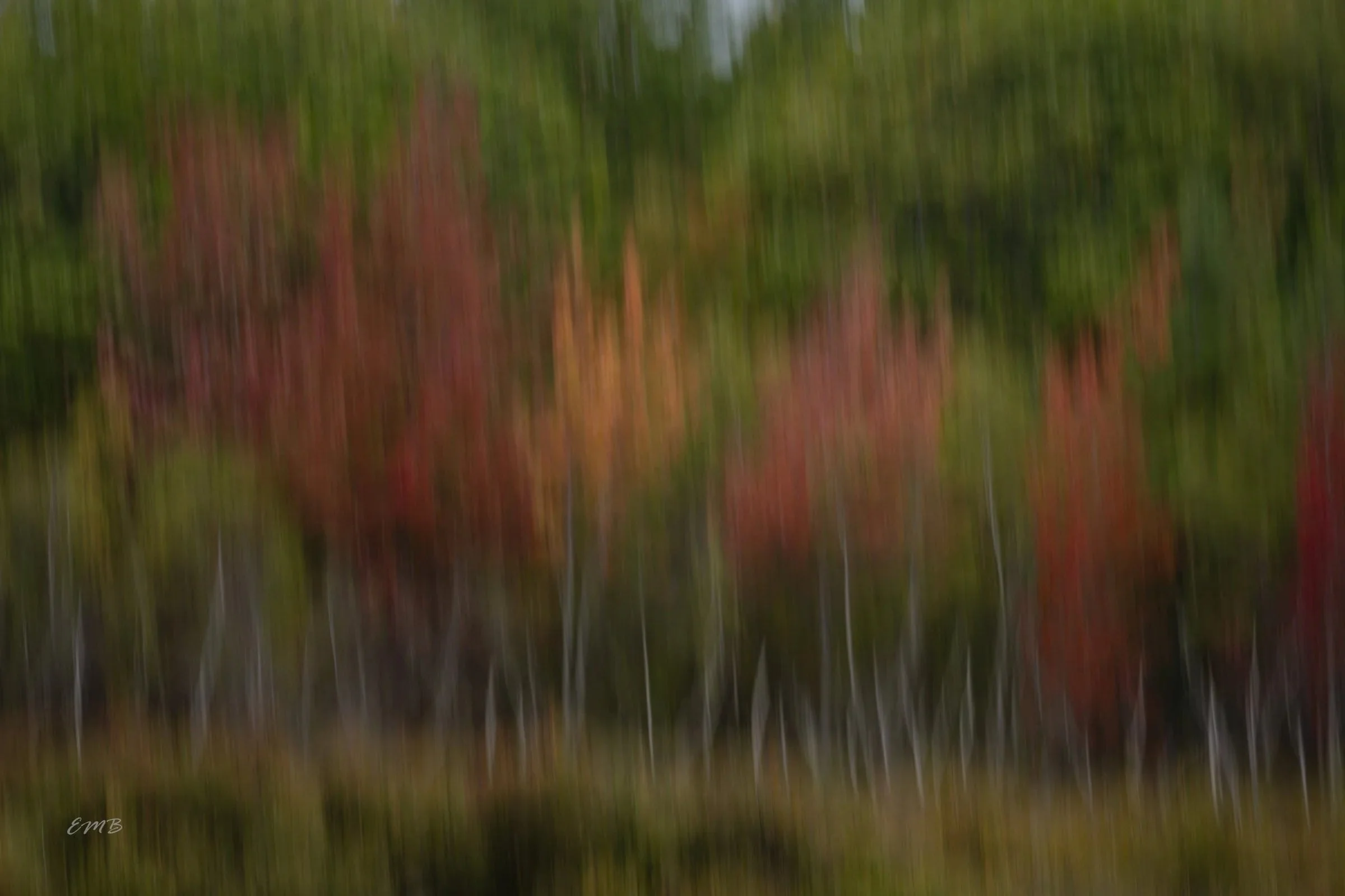 Autumn colors in Acadia National Park
