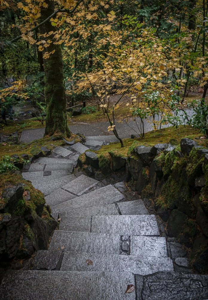 Ellen_Bogenschutz_Descending_PJG_3.jpg