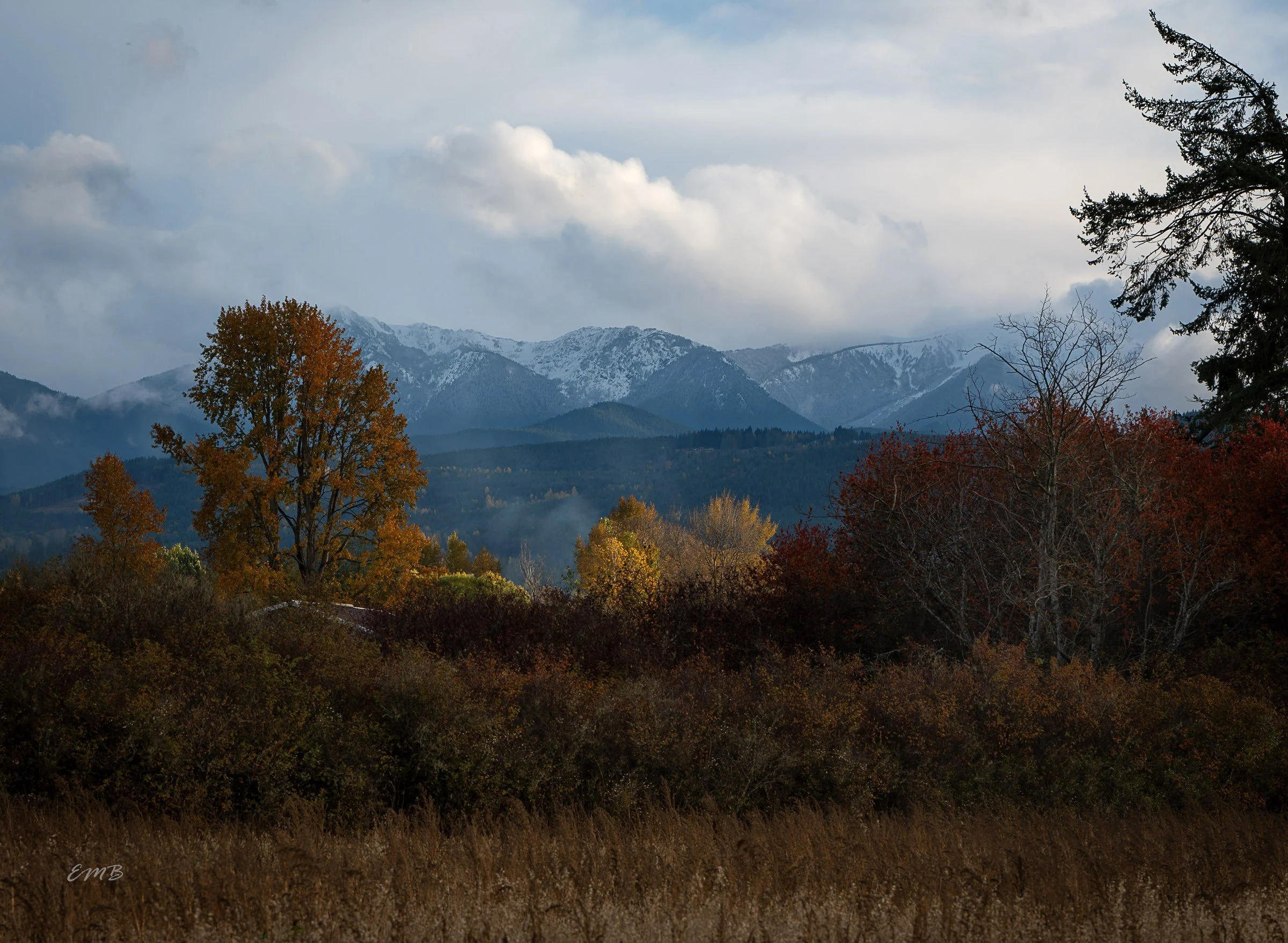 Autumnal colors under Olympic Range