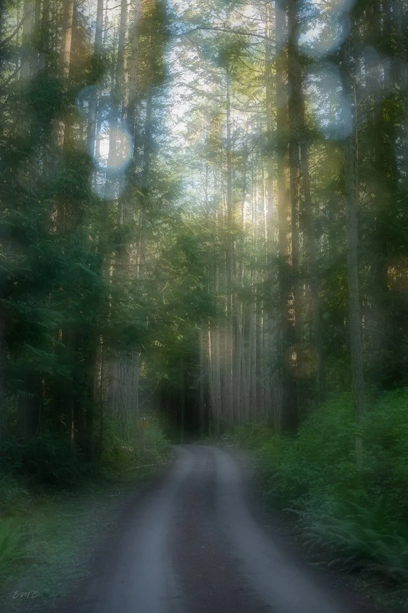 walk through a dream