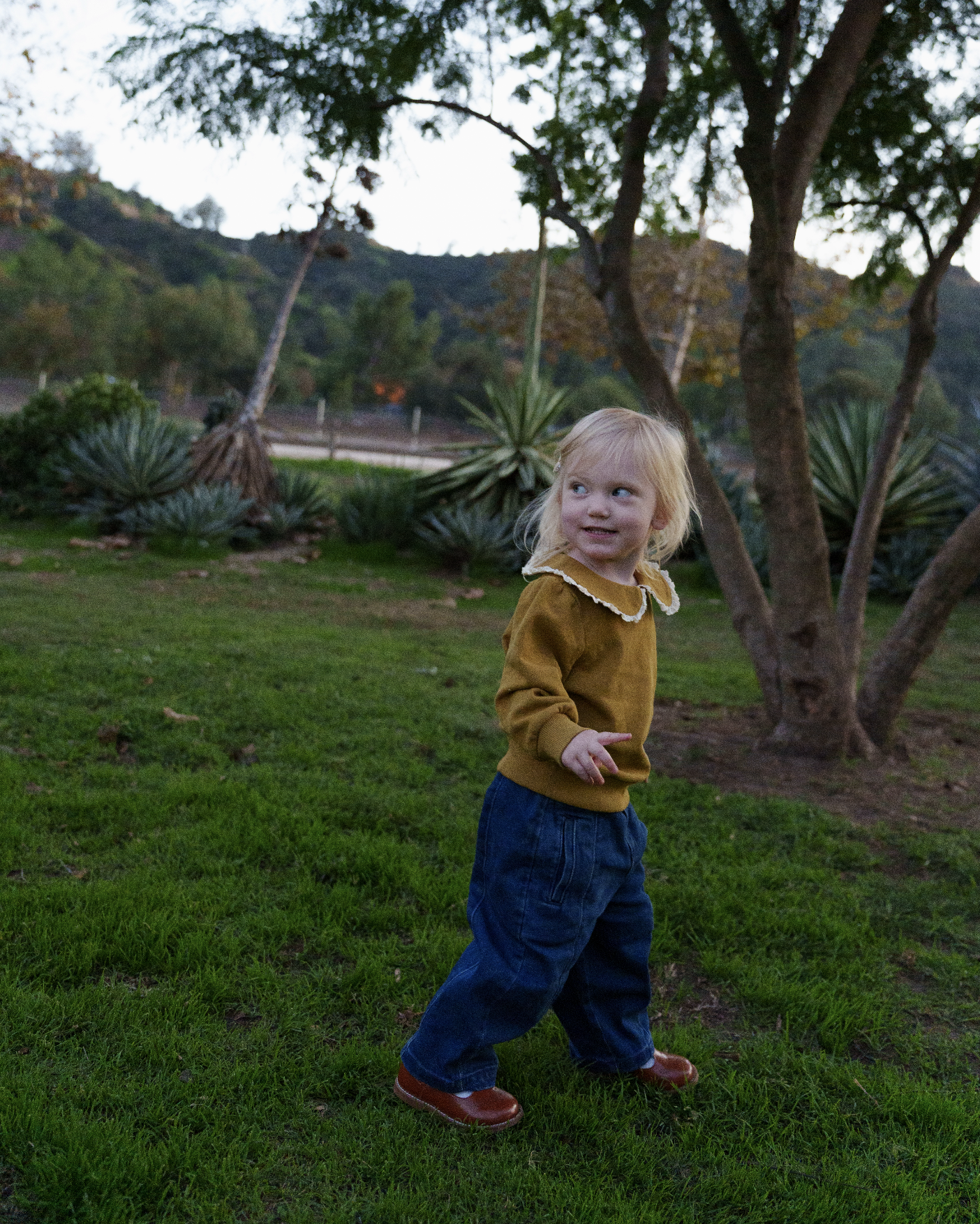 Screenshot 2025-12-17 at 12.44.48 PM.png