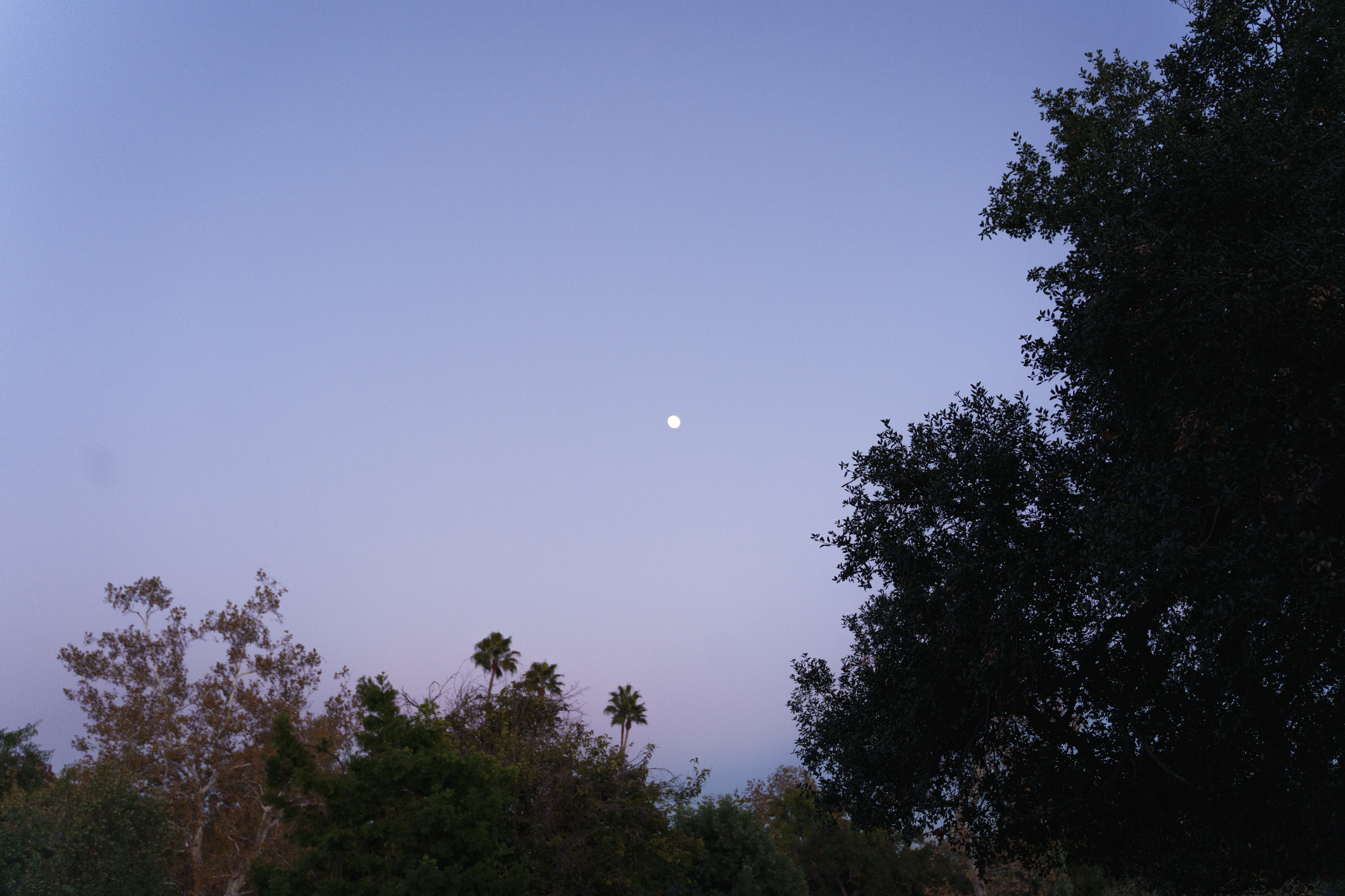 Screenshot 2025-12-17 at 10.38.48 AM.png