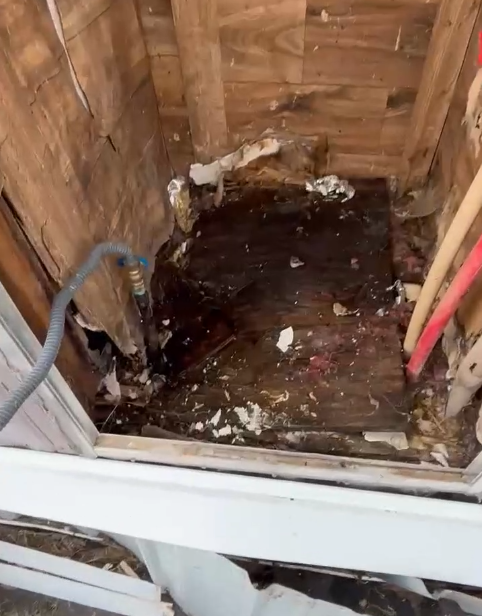 Screenshot 2026-01-01 113545.png