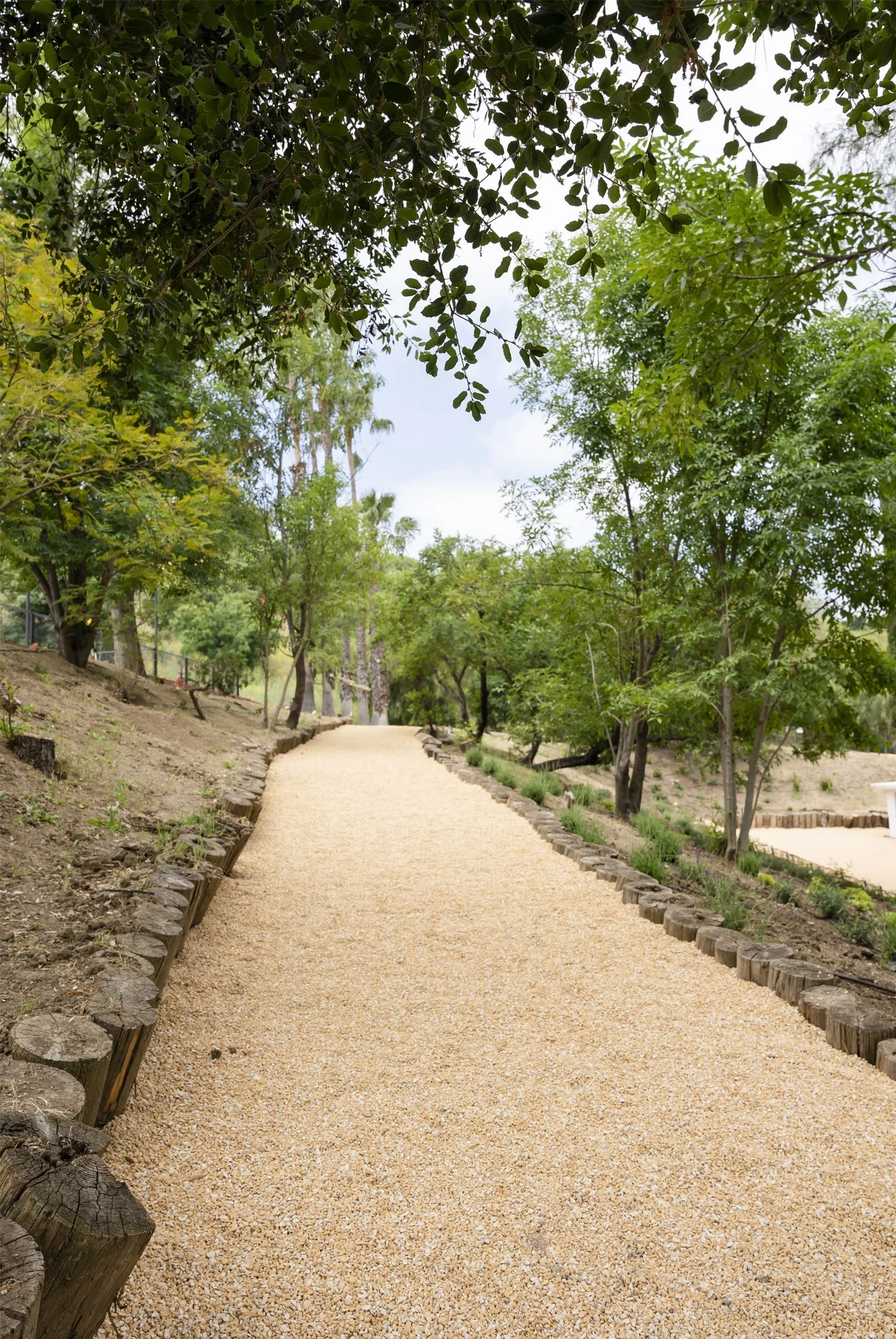A gravel walking trail in a park, surrounded by green trees and bushes.