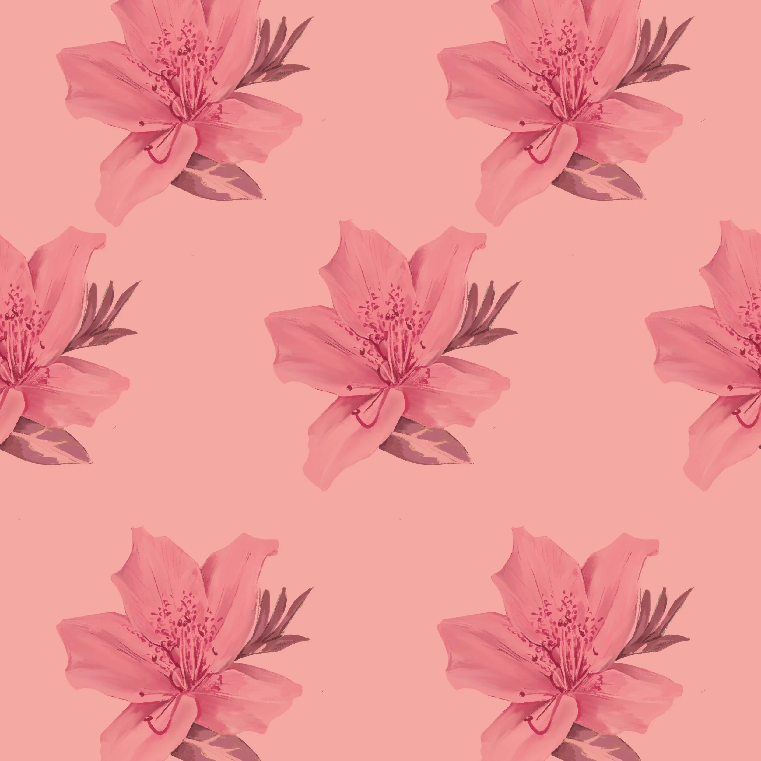 Print & Pattern