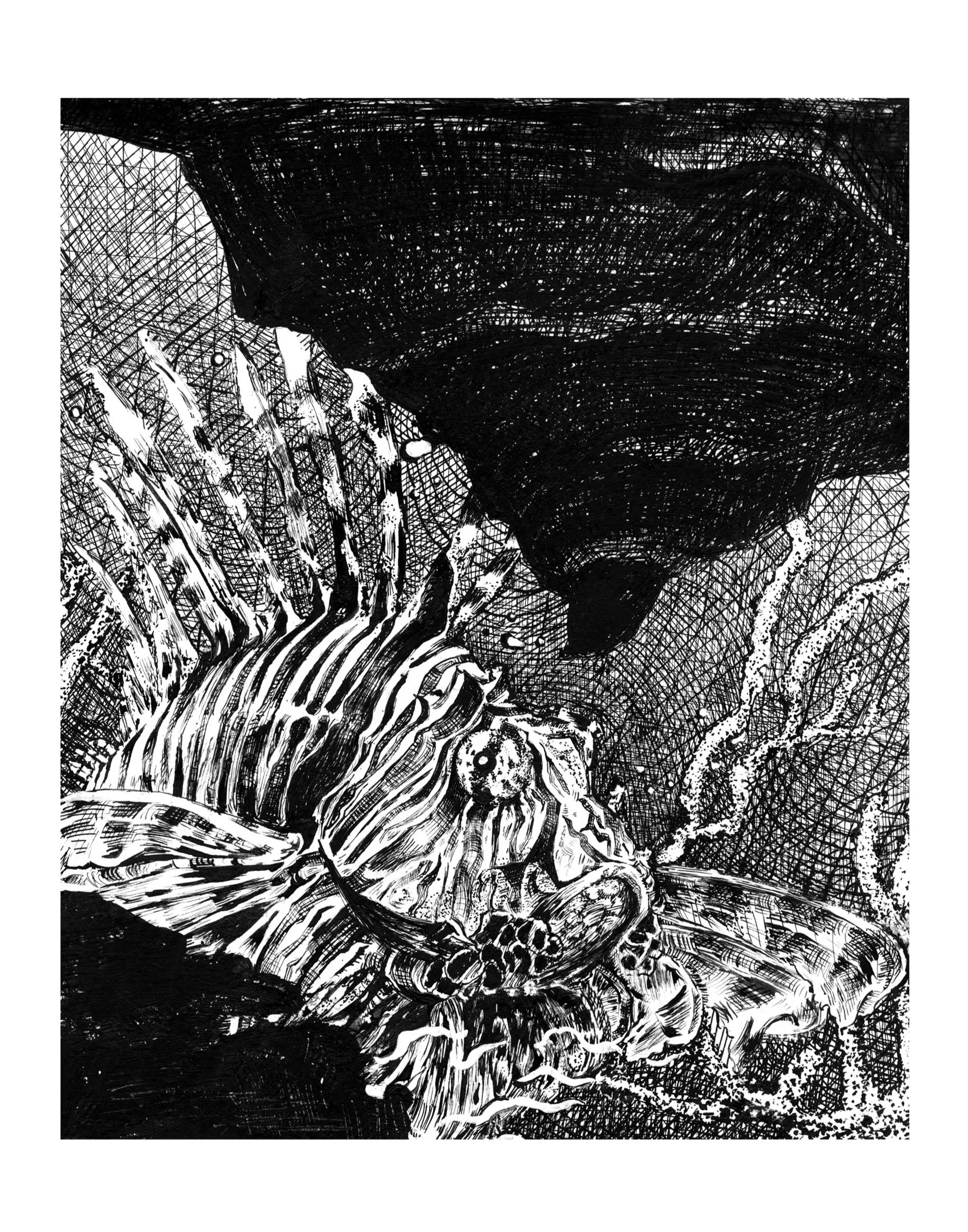 "Lionfish" 2025,
Ink on paper.
