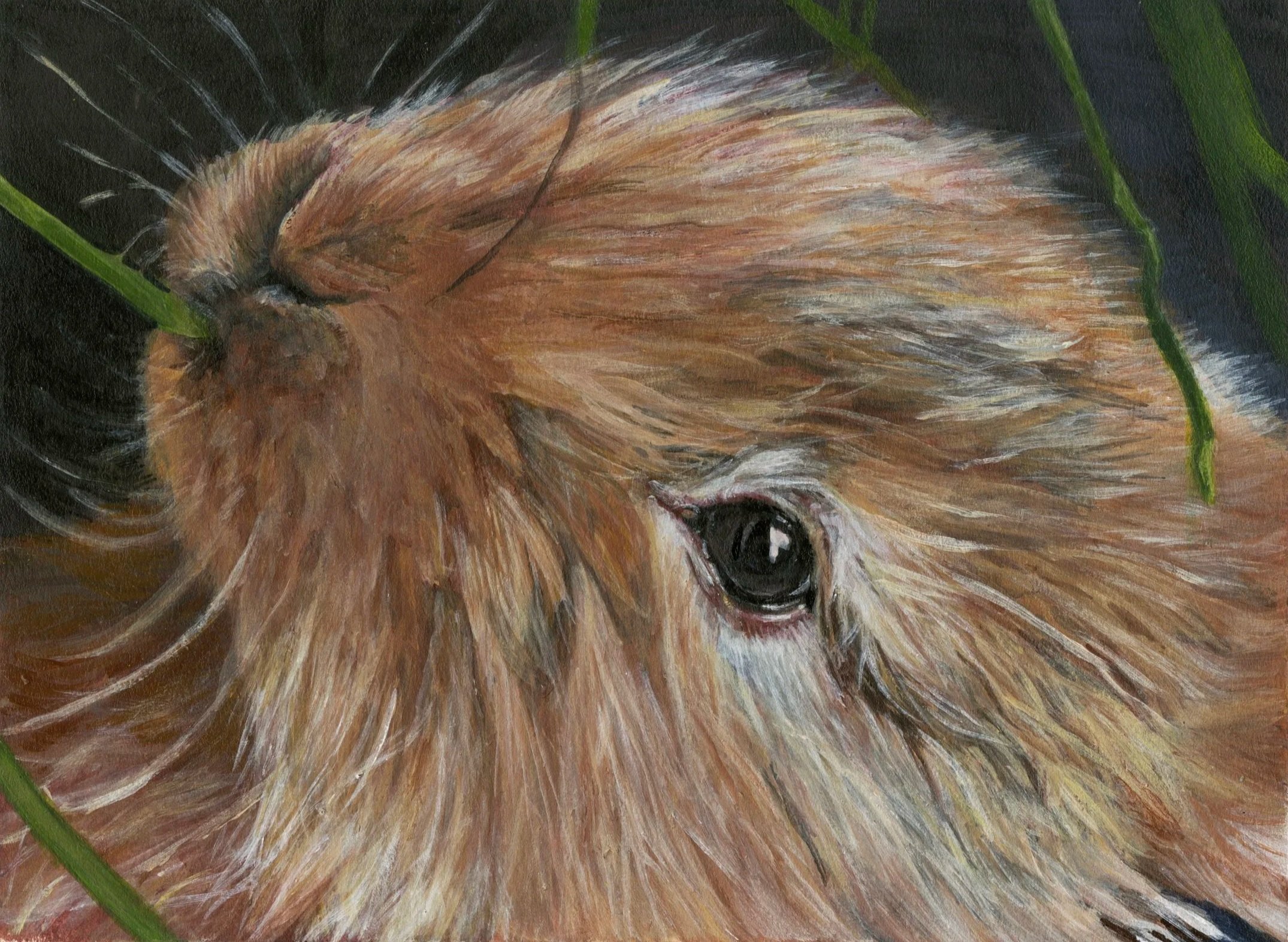 "Bunny" 2025,
Acrylic on Illustration board.
