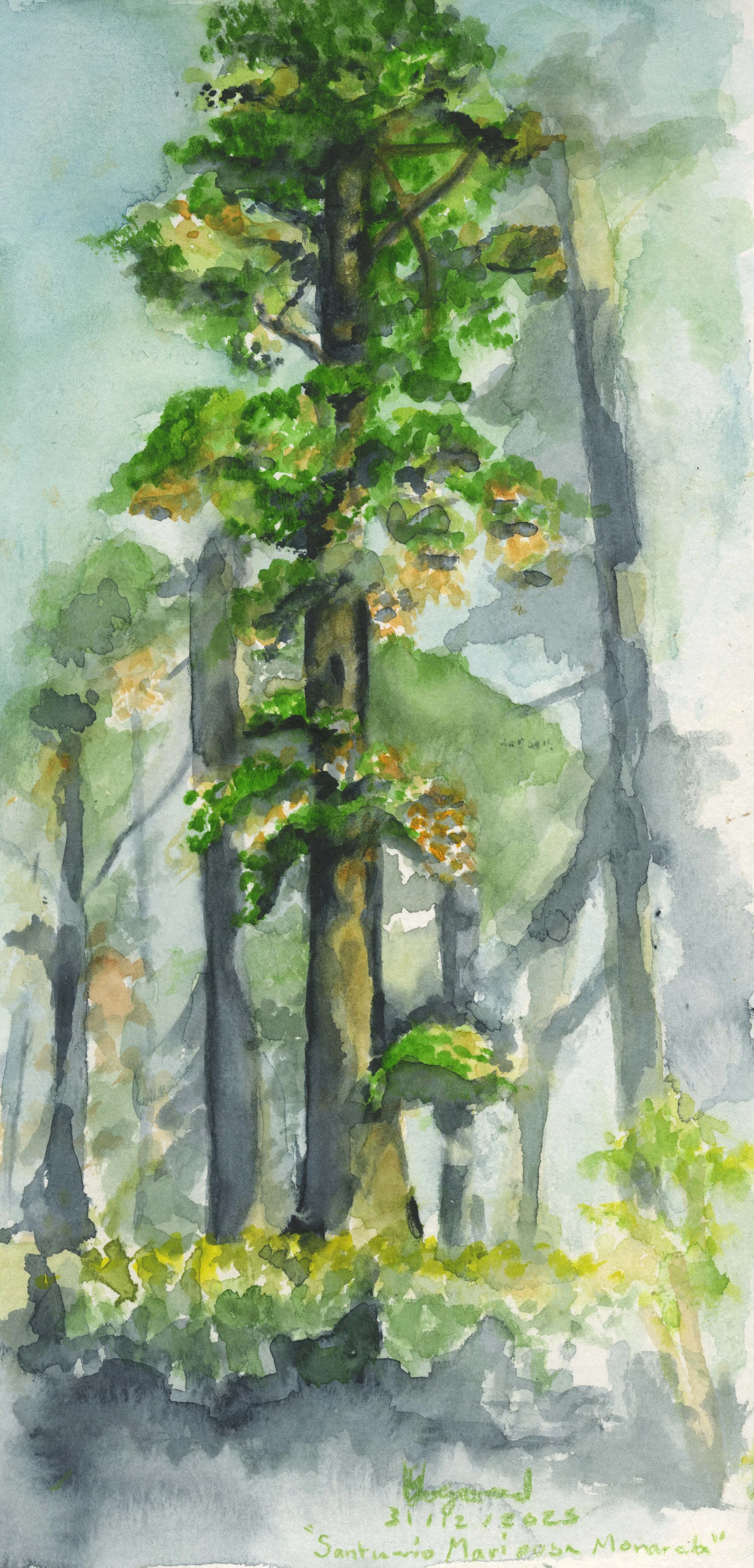 Sanitario
Watercolour on watercolour paper