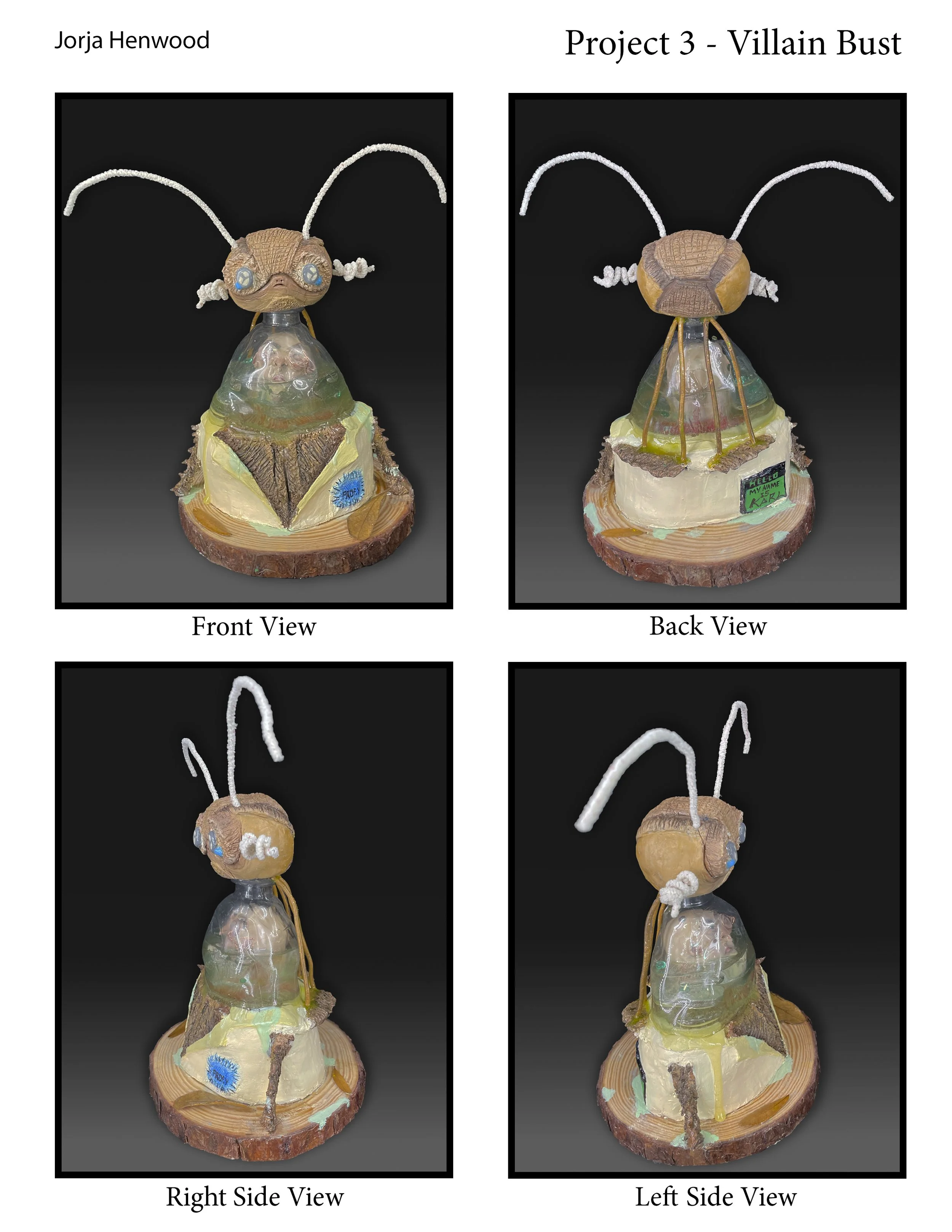 "Professor Y bust" 2025,
Mixed media sculpture.