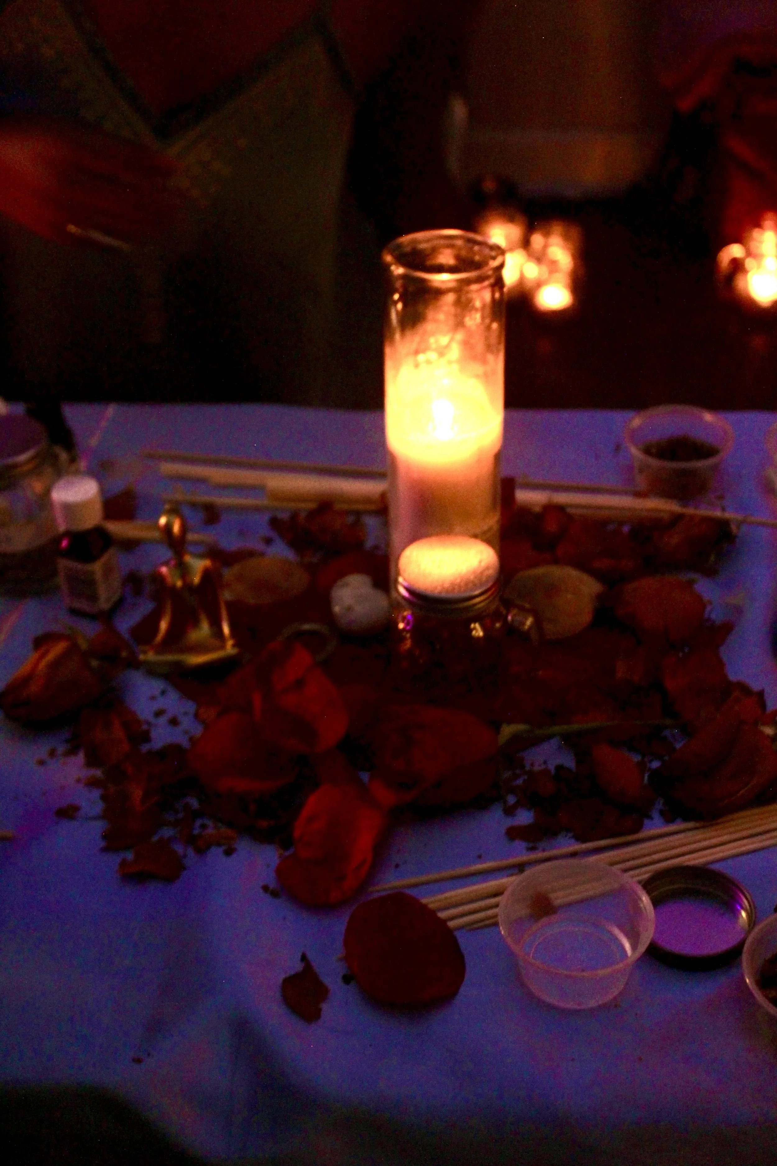 Sacred Wild Moon Ritual