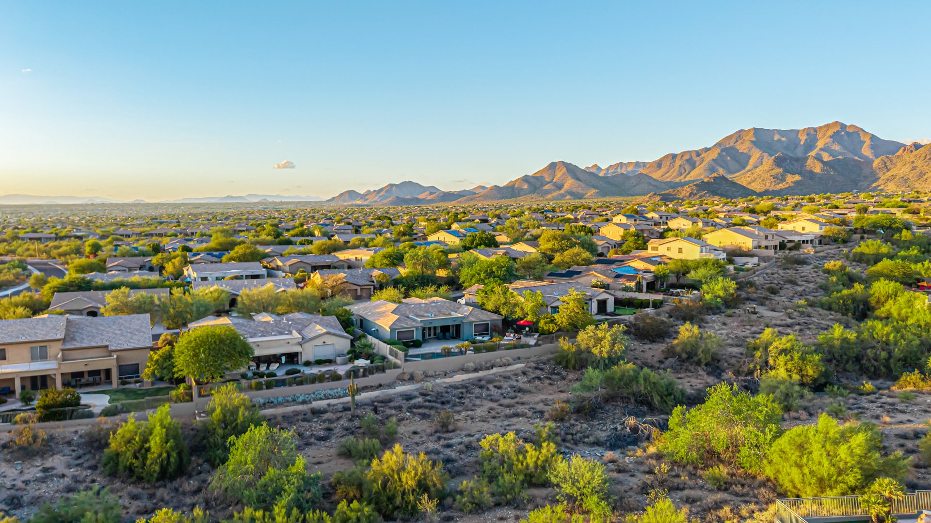 86-Palm Ridge.jpg