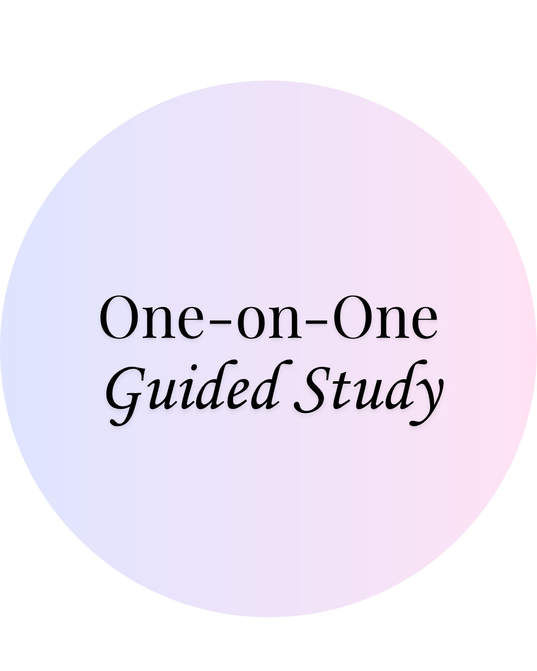 1:1 Guided Study