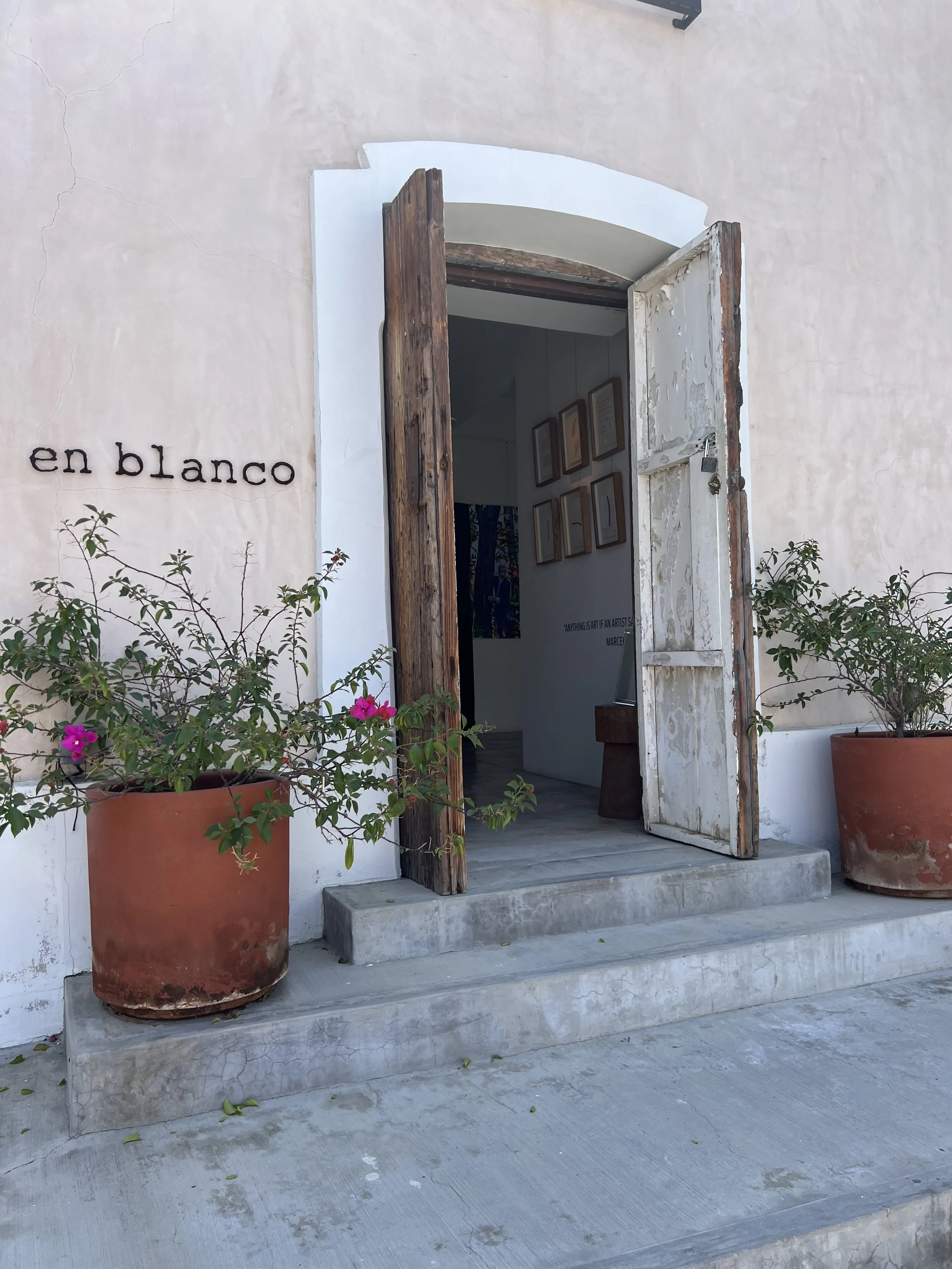 Community Art and Engagement Projects