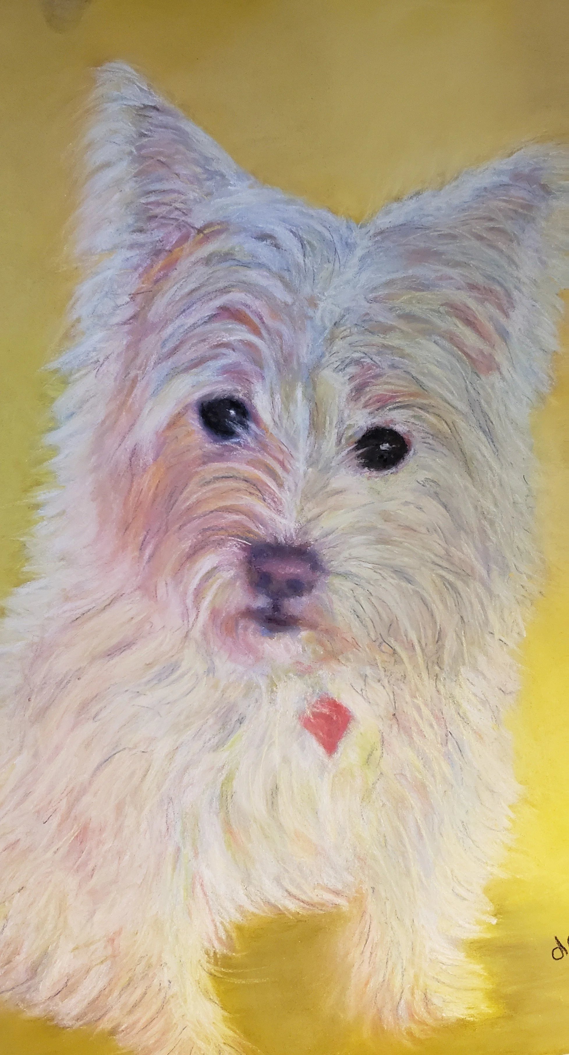 Nugget, pastel.