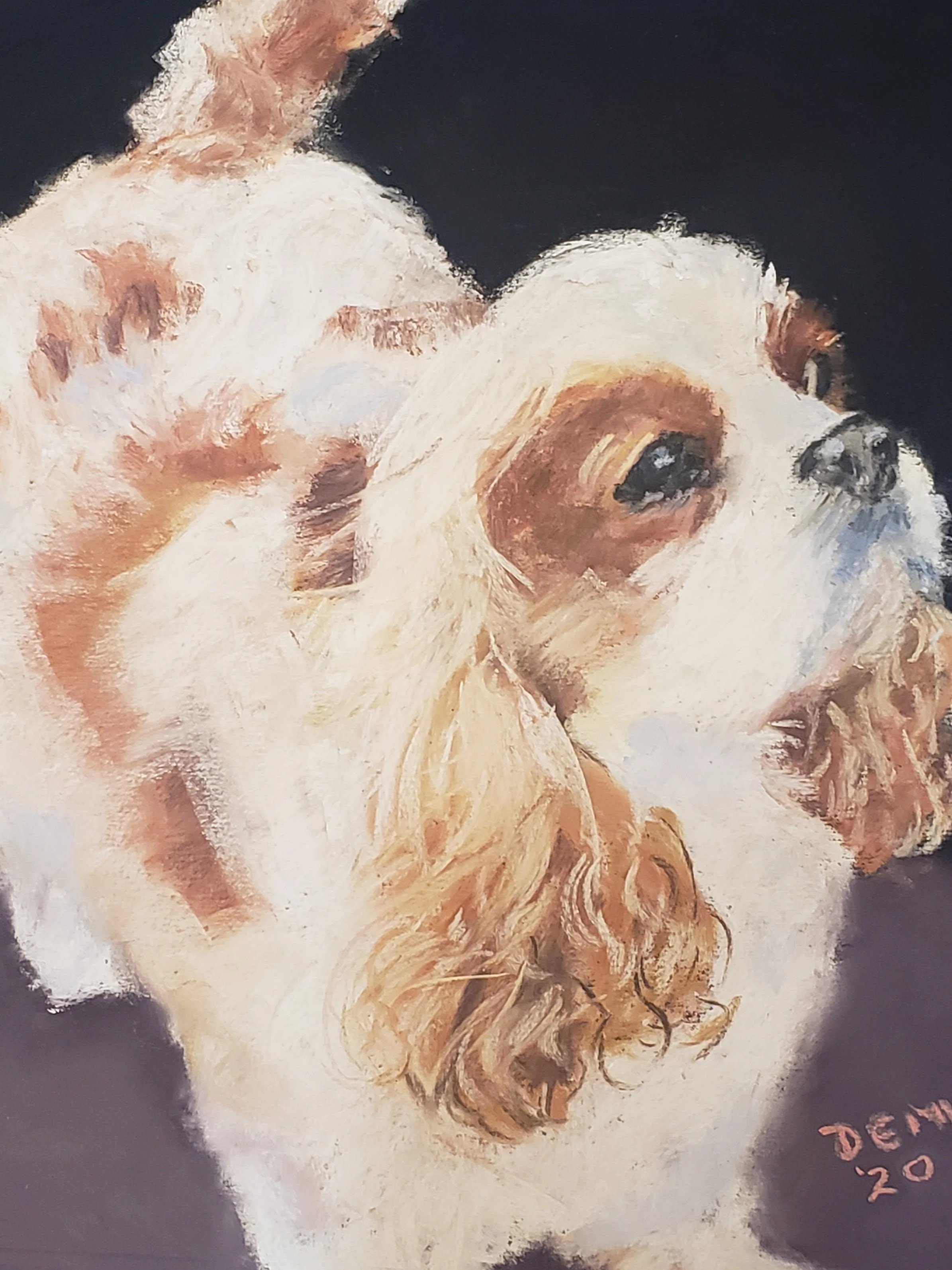 Cavalier King Charles, pastel
