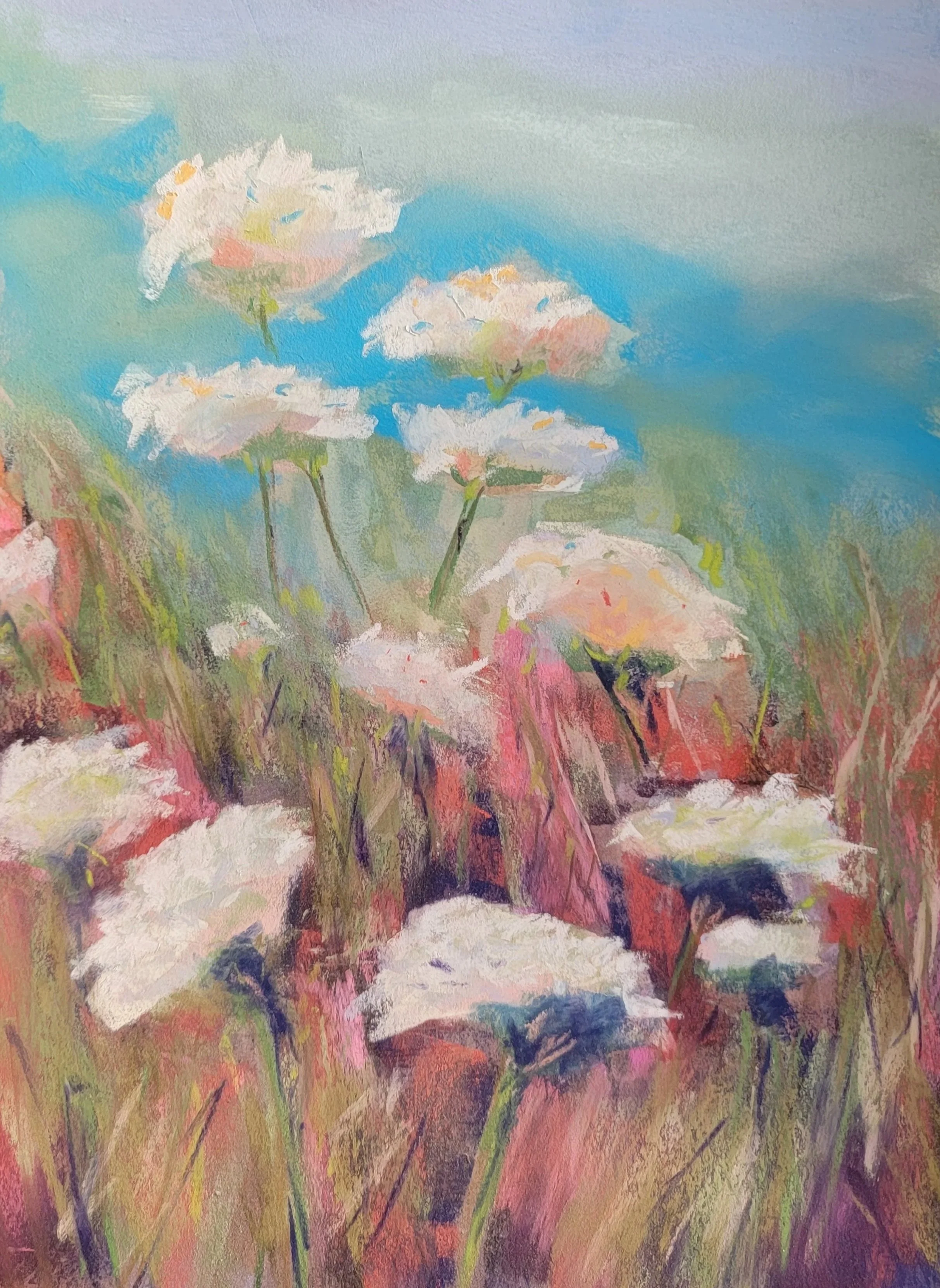 Queen Anne's Lace study, pastel.